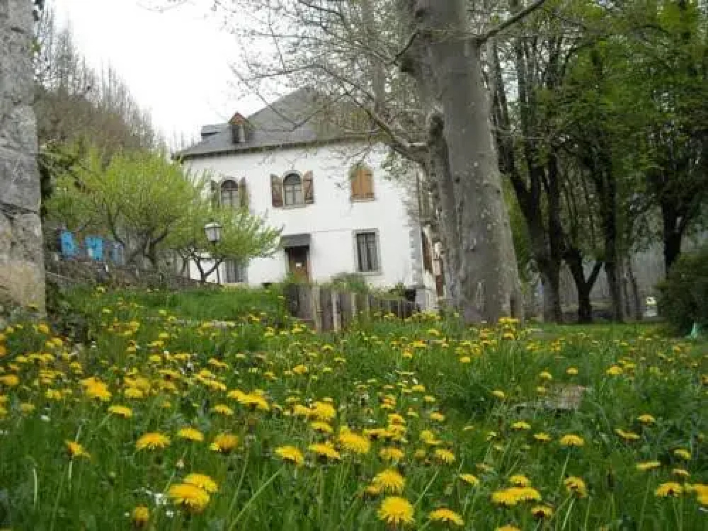 Albergue Quinta Vista Alegre