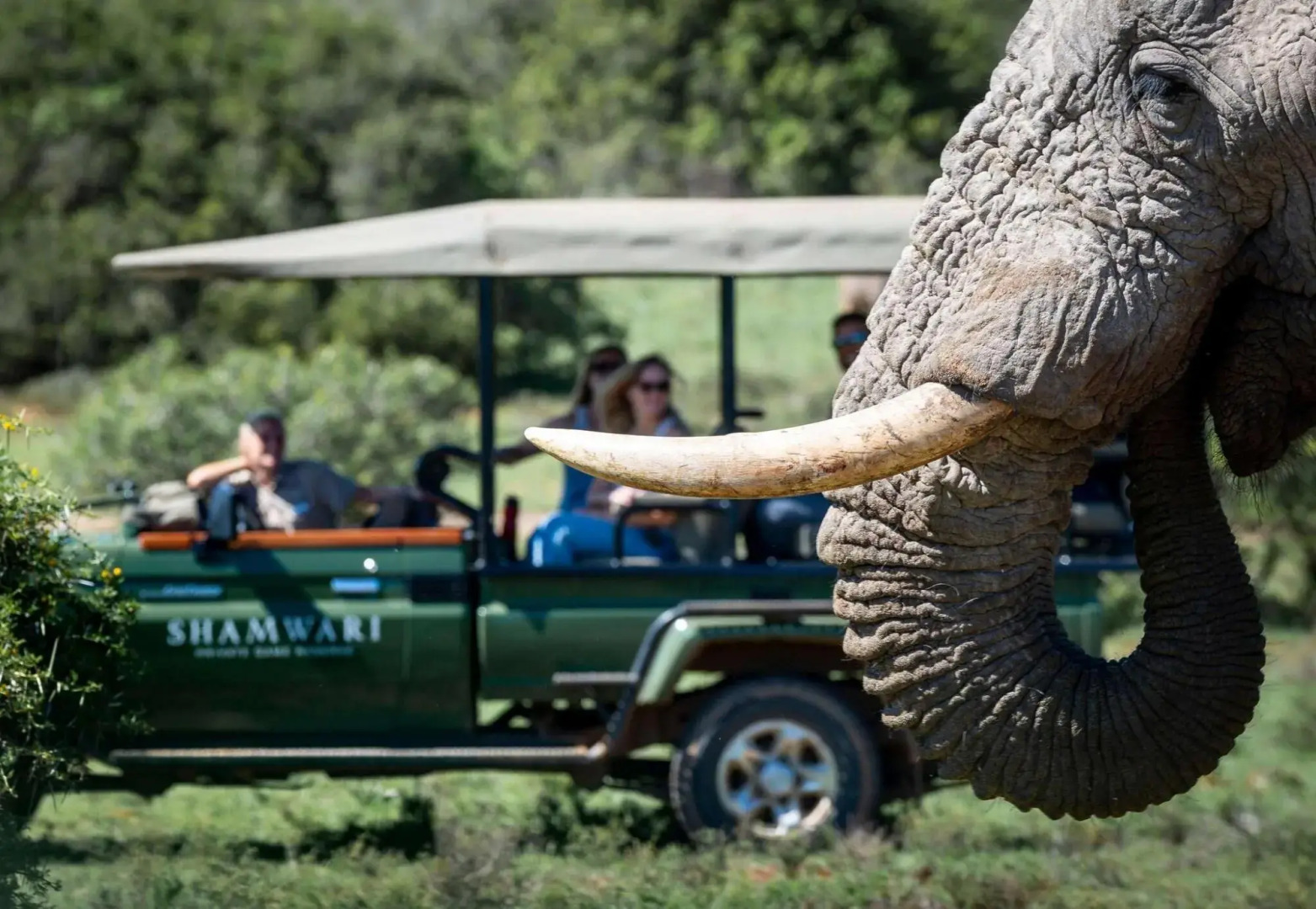 Shamwari Eagles Crag