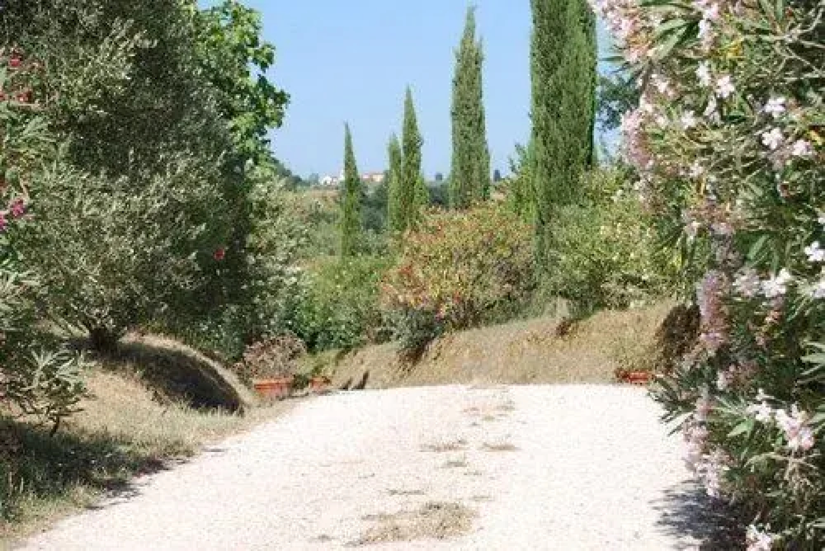 Tenuta il Pino