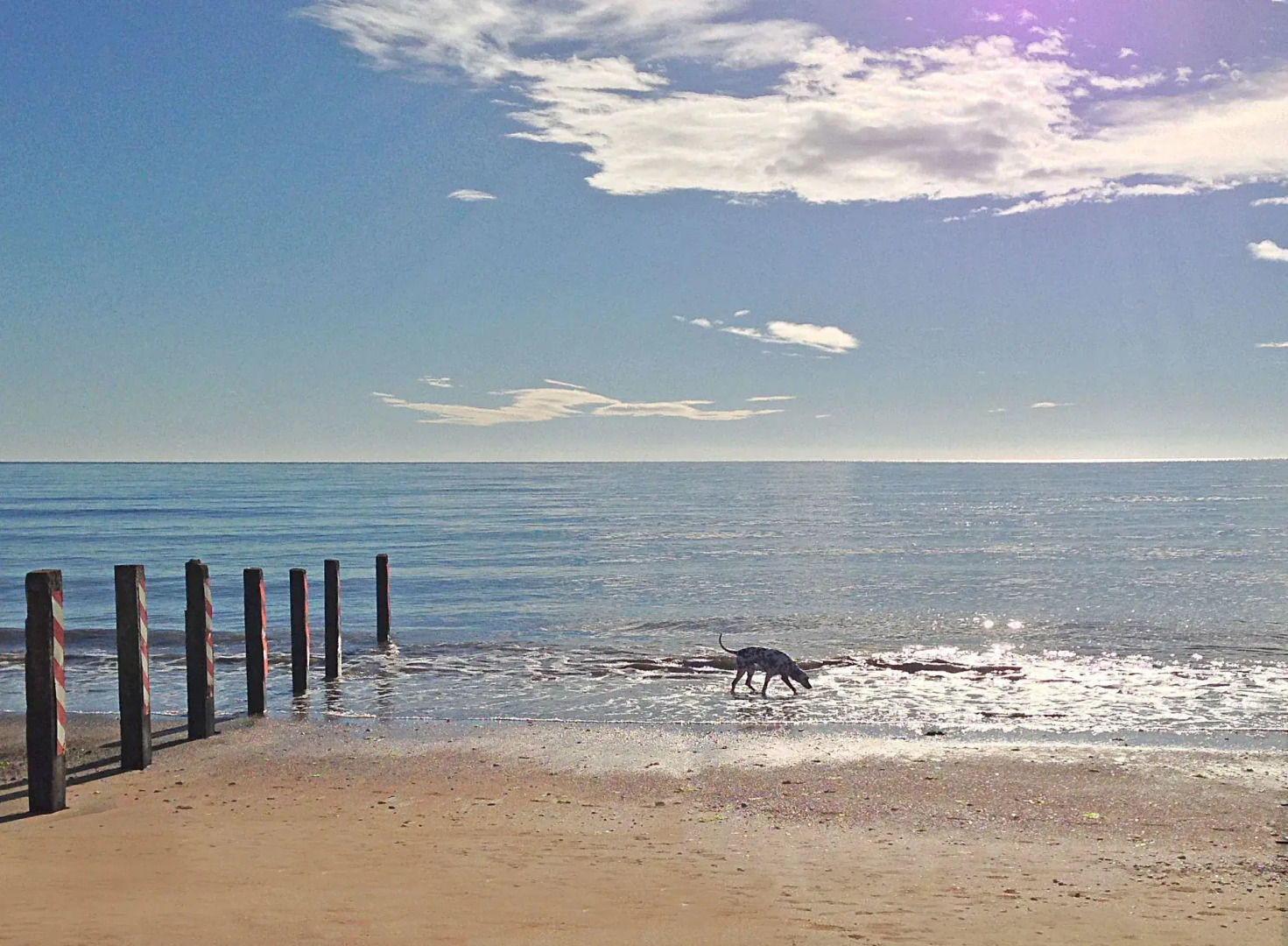 Quality Hotel and Leisure Centre Youghal