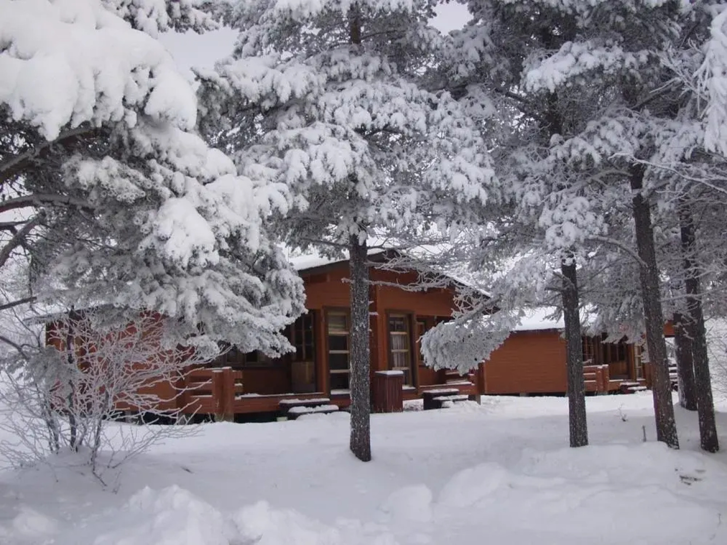 Davvi Arctic Lodge