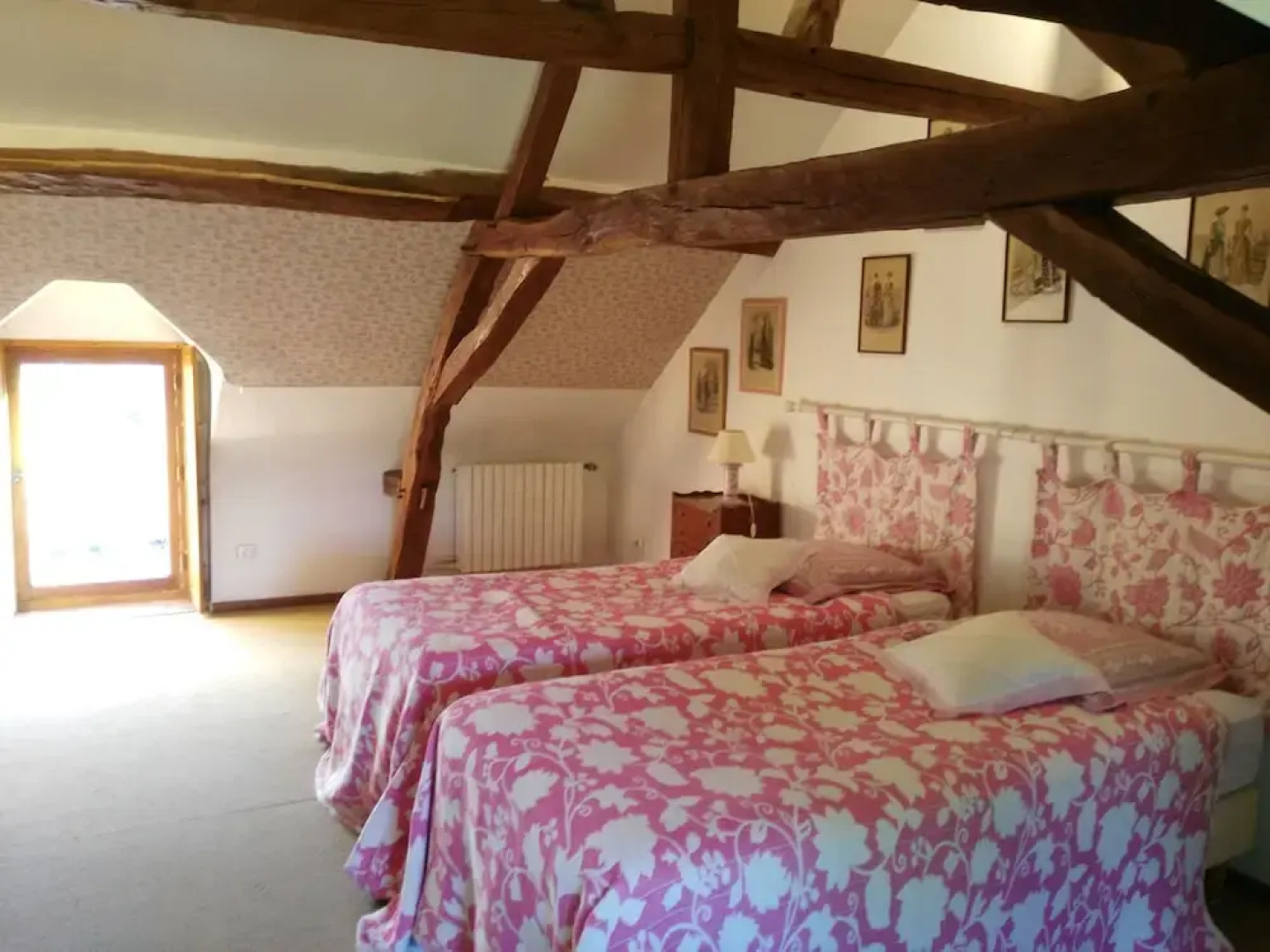 Les Camélias des Demoiselles de Pallus