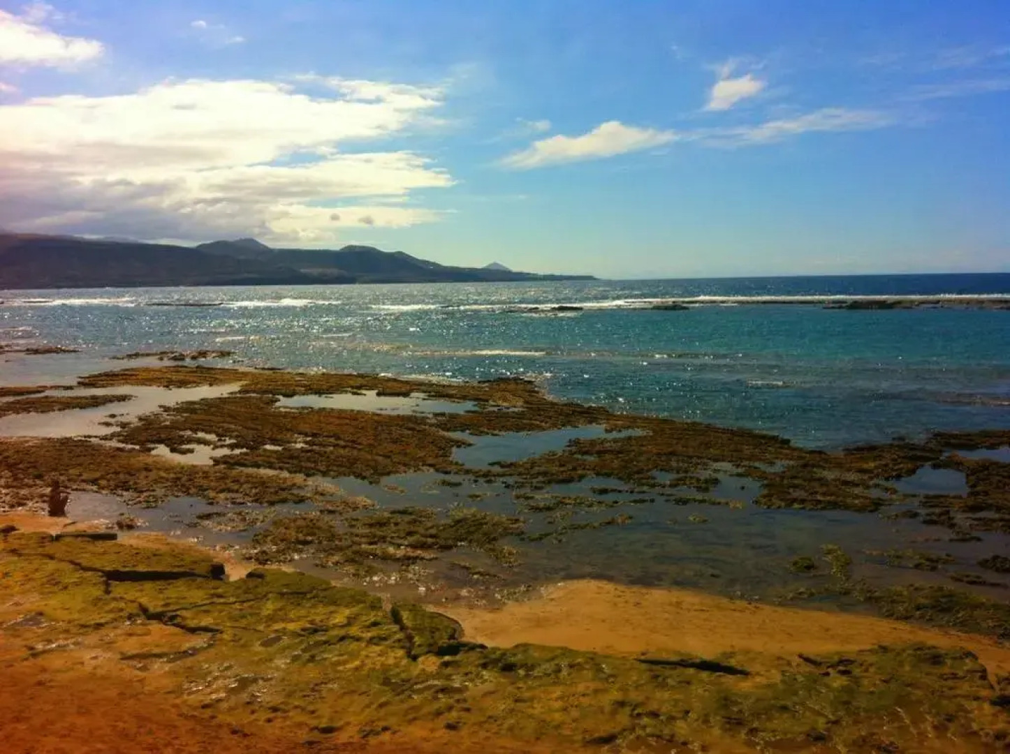 Miami Santa Catalina