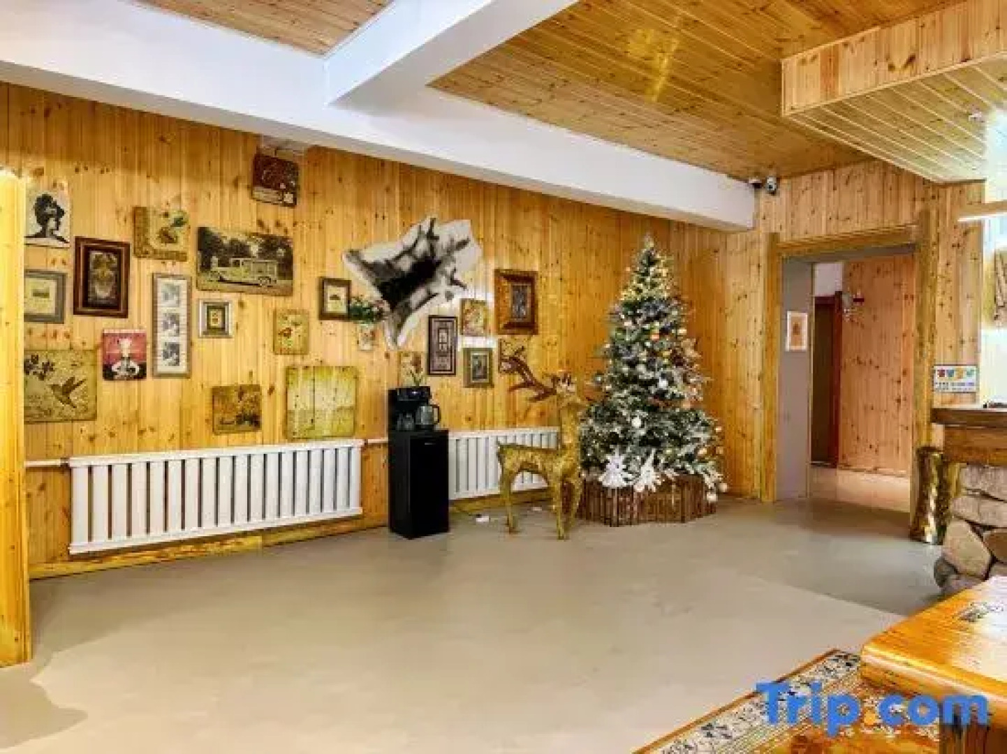 Igri wooden villa