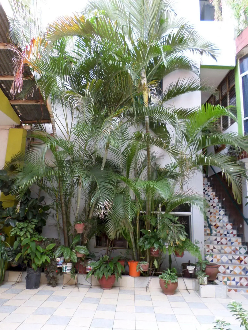 Hotel Pueblo Verde