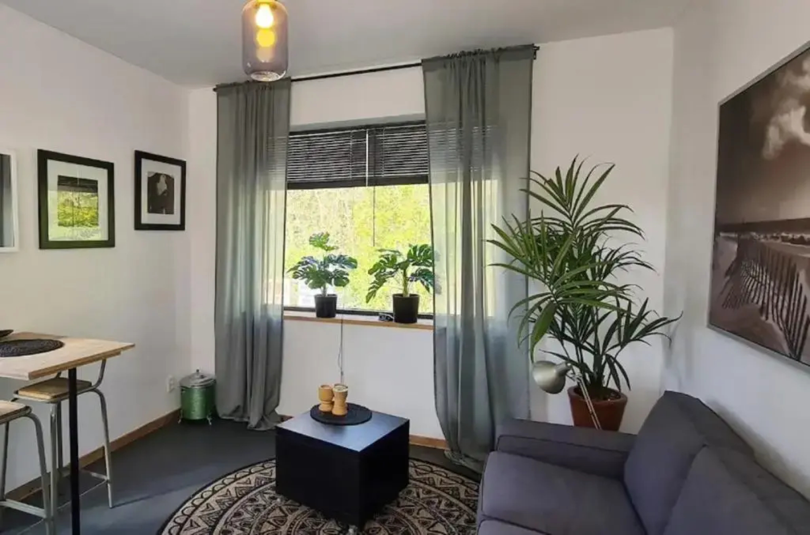 Studio tussen de bossen en de bollenvelden