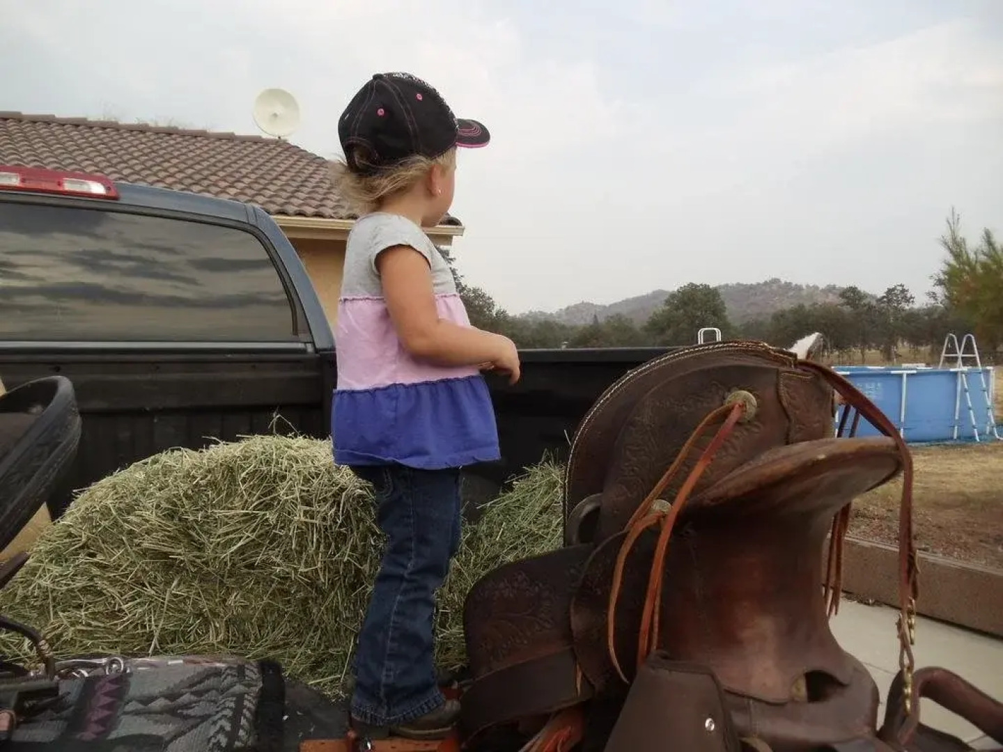 The Branded Calf B&B