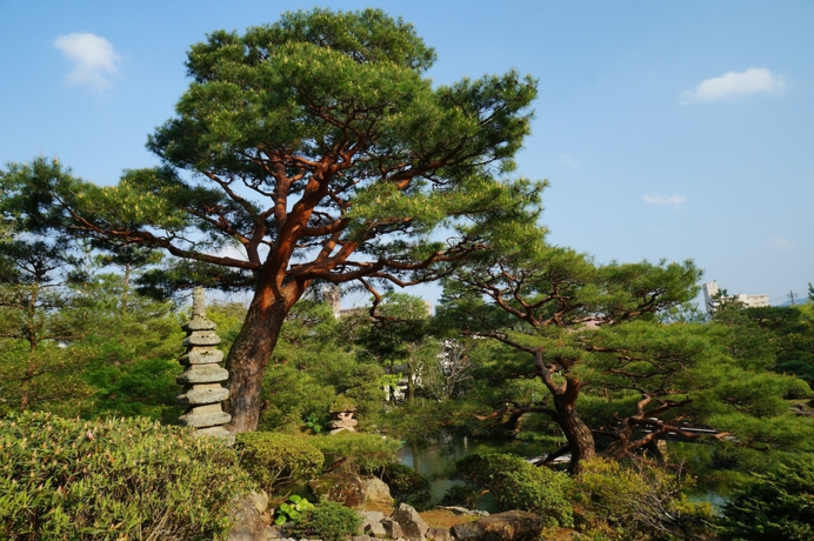 Meisho Sansuien - Yuda Onsen -