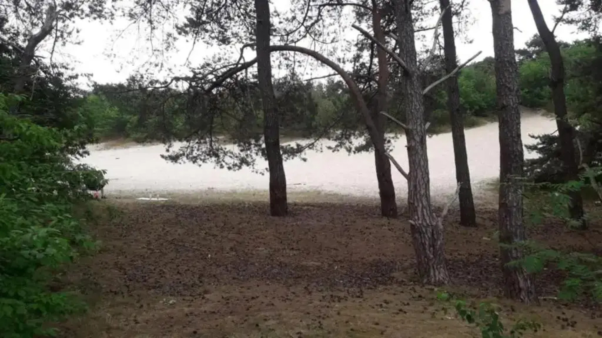 ZEN-bungalow NO 1 met sauna en hottub