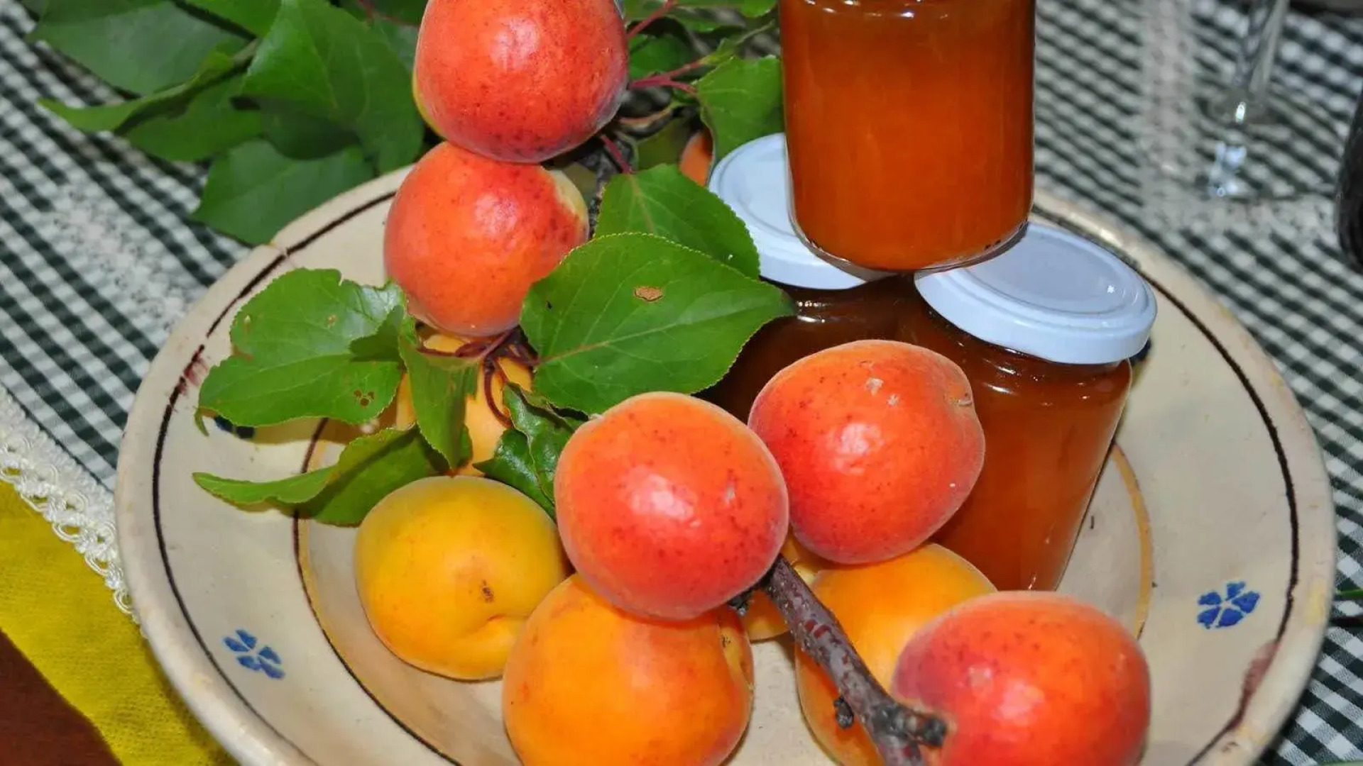 Il Terrazzo sul Sinni