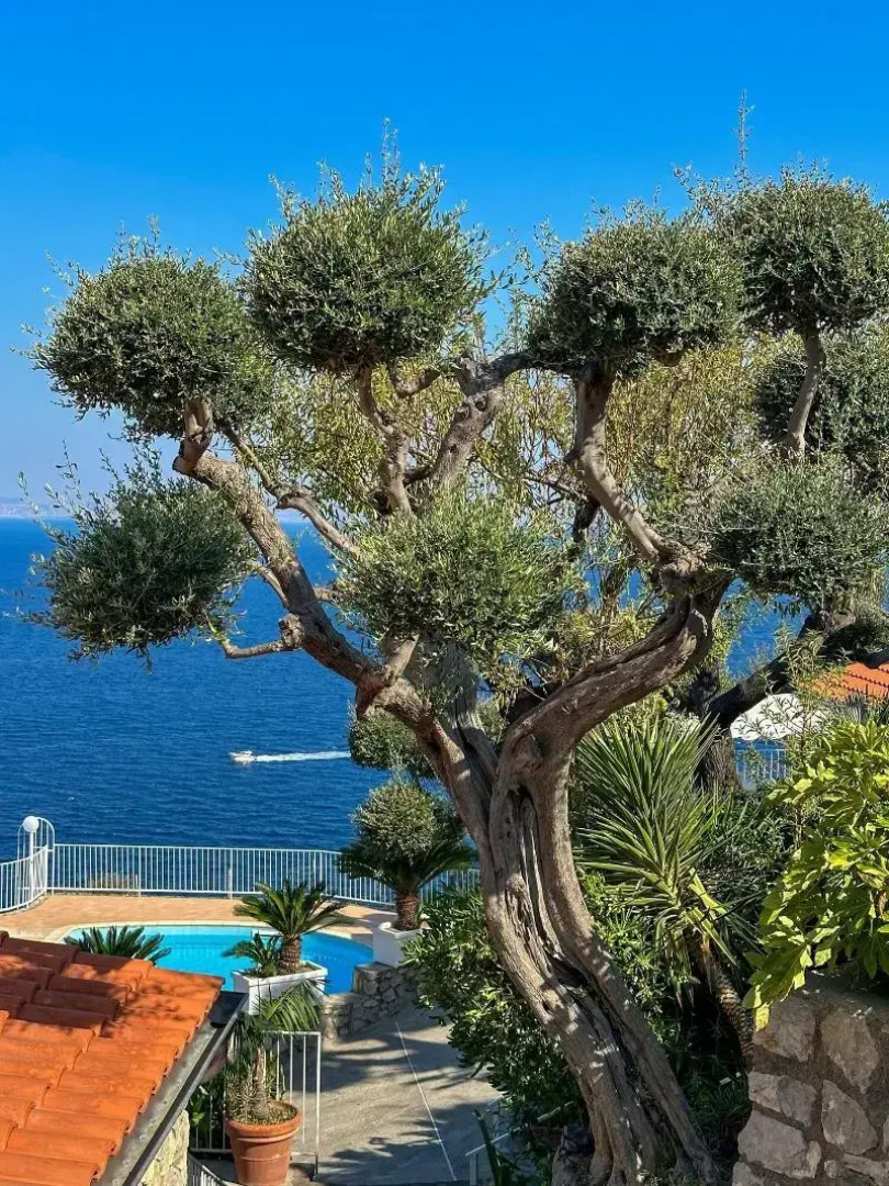 Villaggio Villa Lubrense