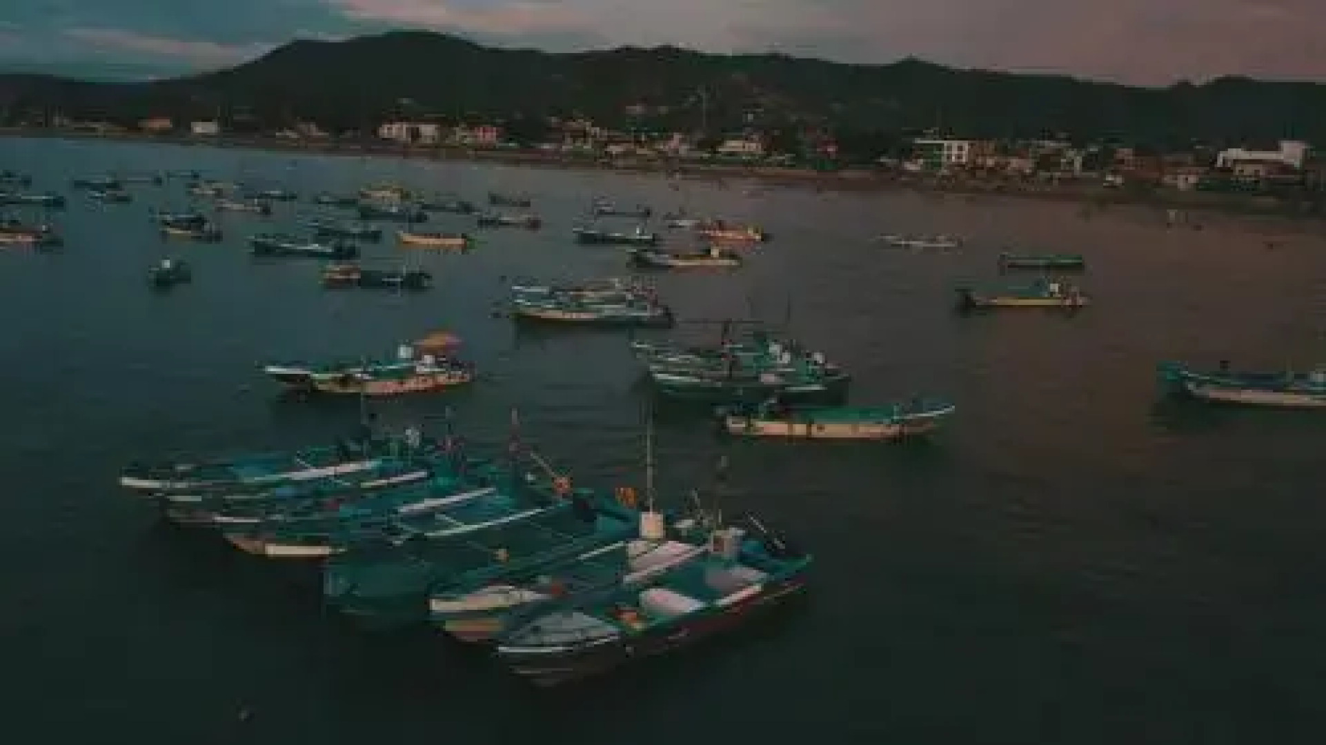 Hostal Humpback Internacional