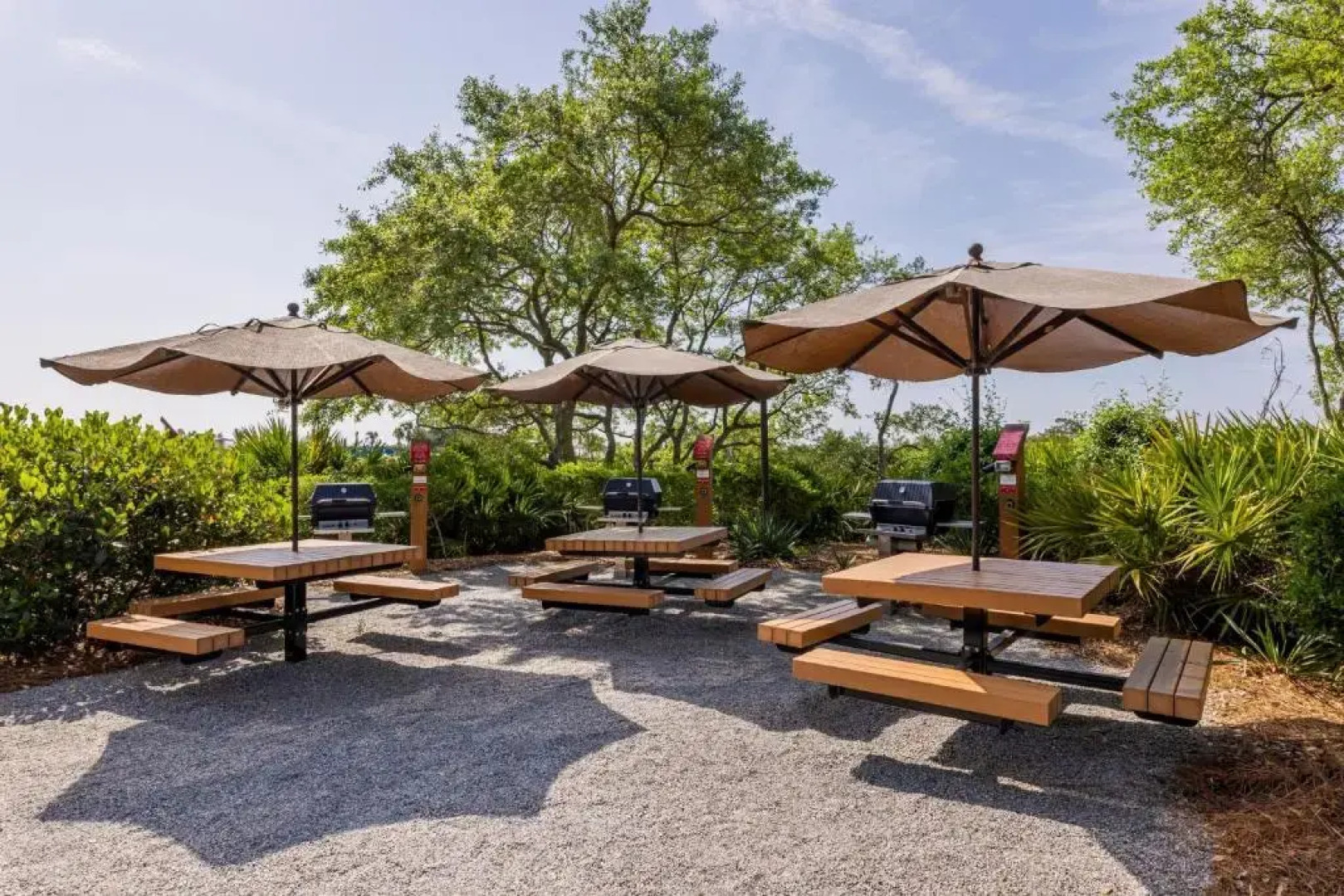 Marriott's SurfWatch