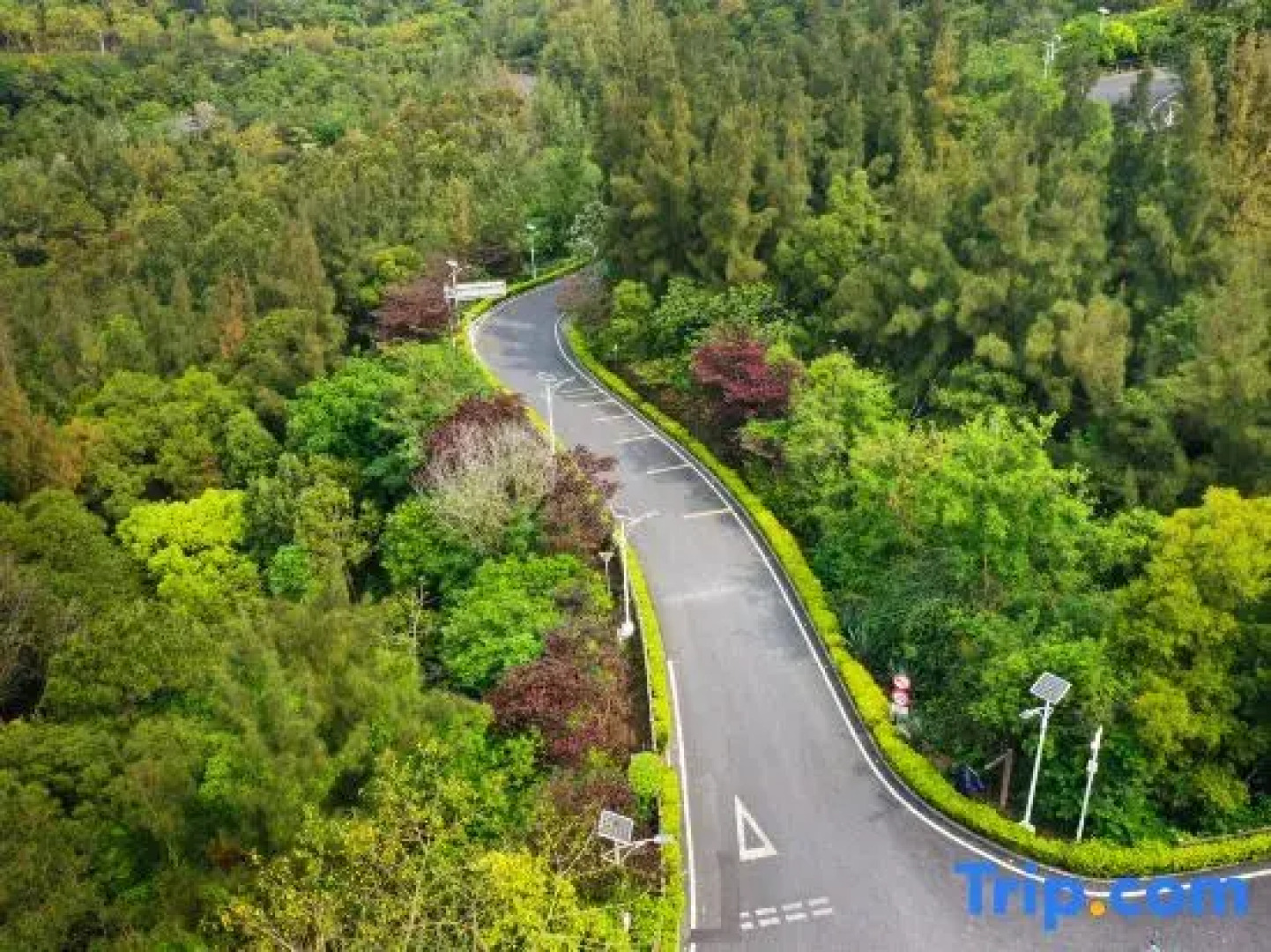 Beihai Guanling Resort Hotel