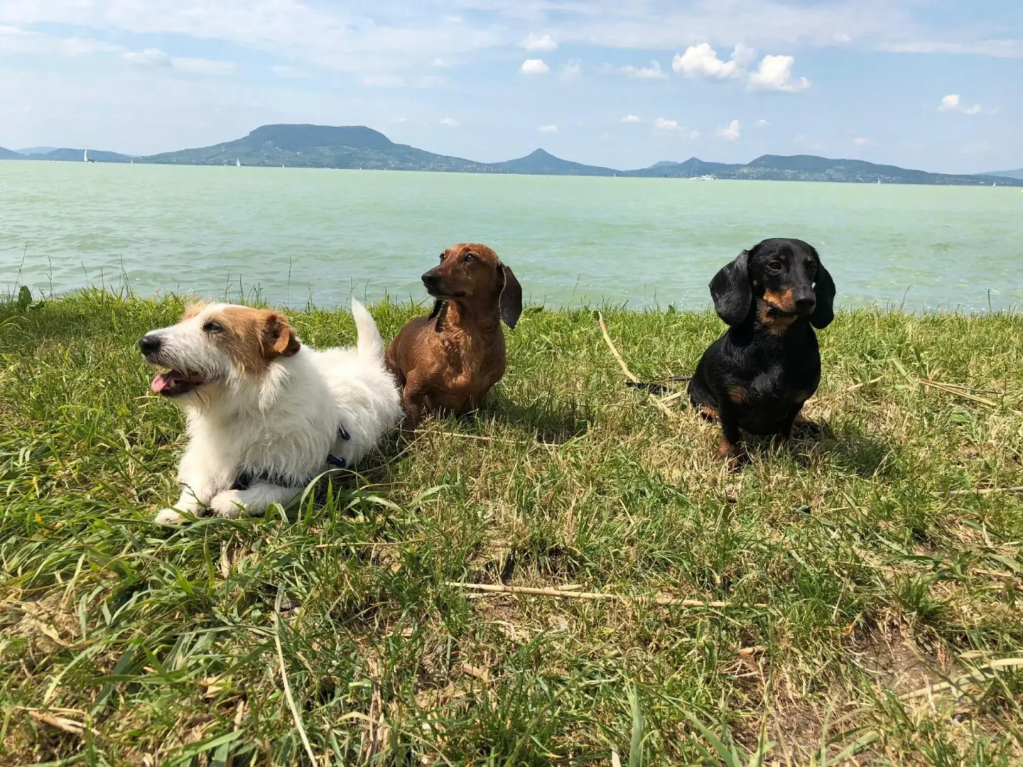 Iker Nyaraló Balatonfenyves