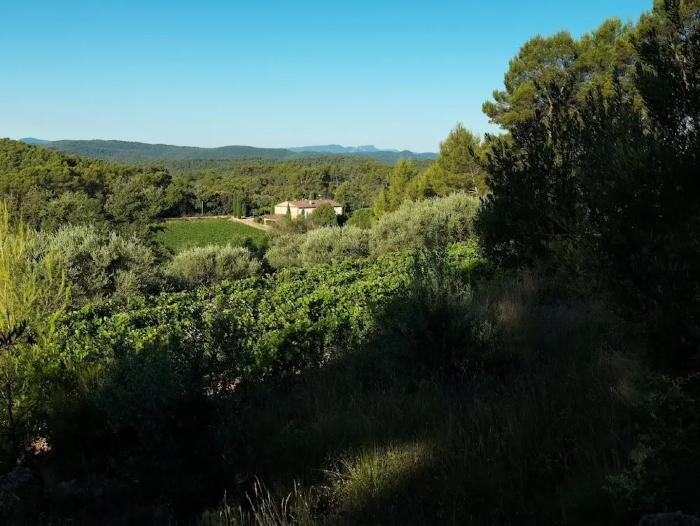 Domaine du Clos d'Alari