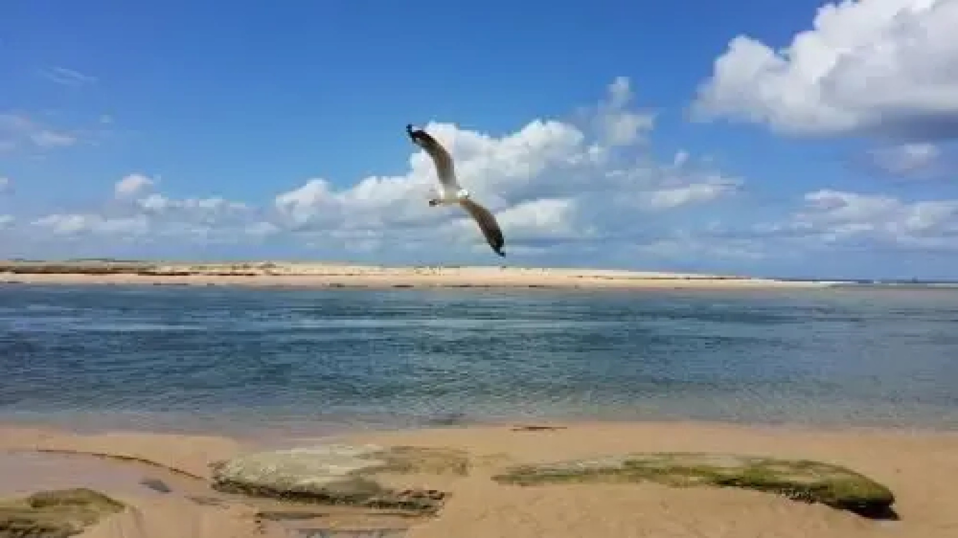 Diamond House in The Entrance Beach