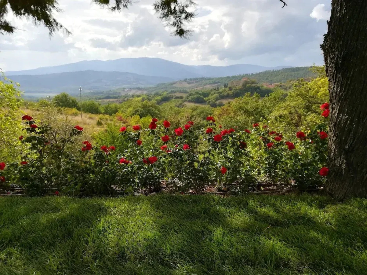 Villa With 5 Bedrooms in Pieve Santo Stefano, With Private Pool and Wifi