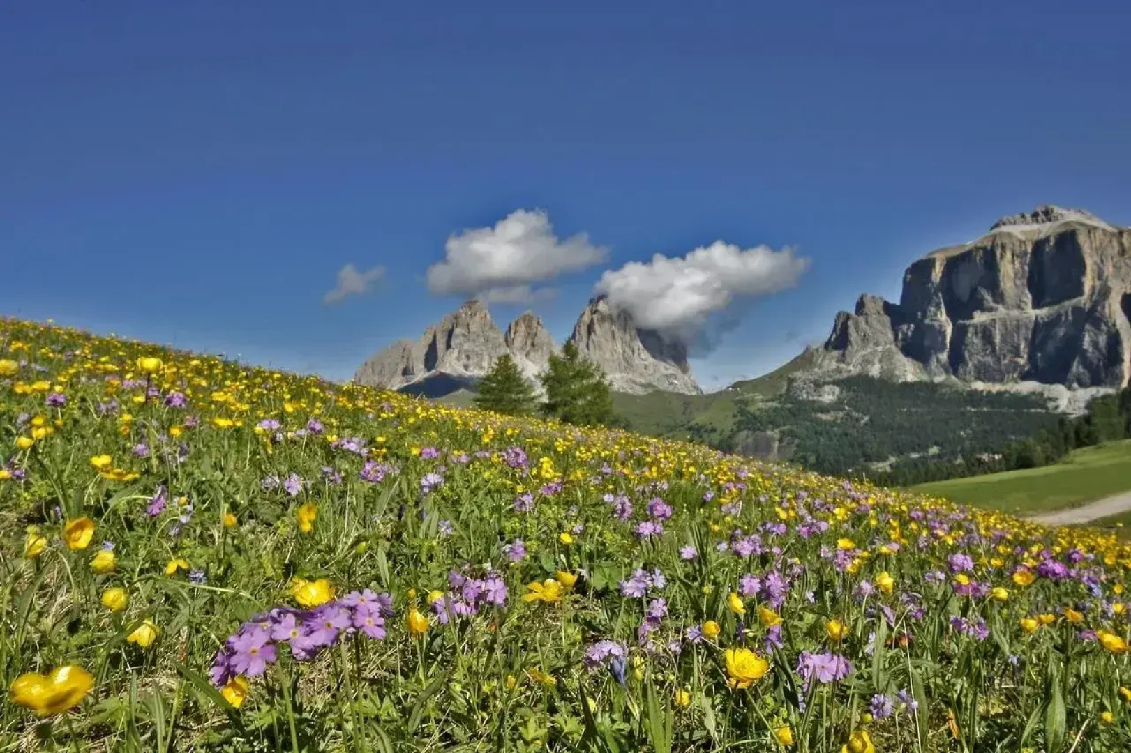 Hotel Crepes de Sela