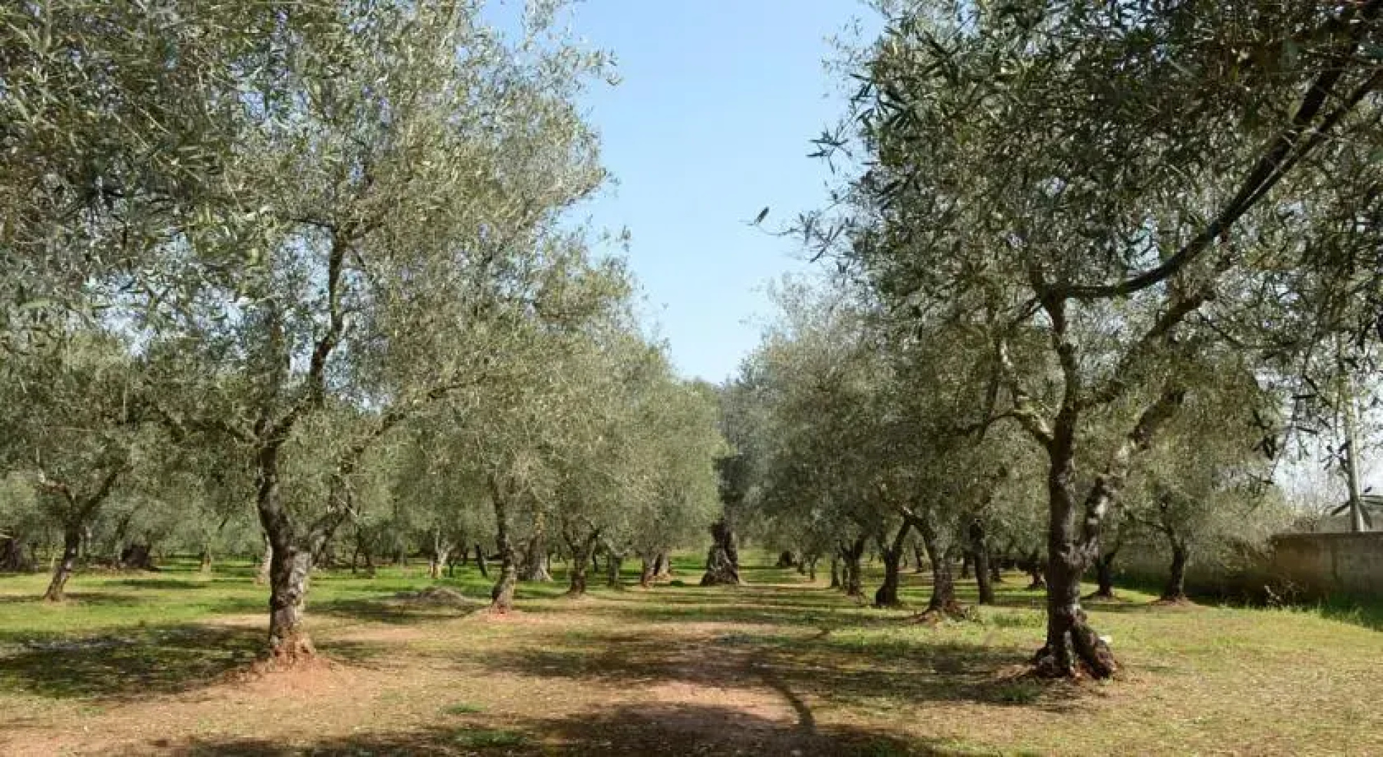 Holiday home La Leccina