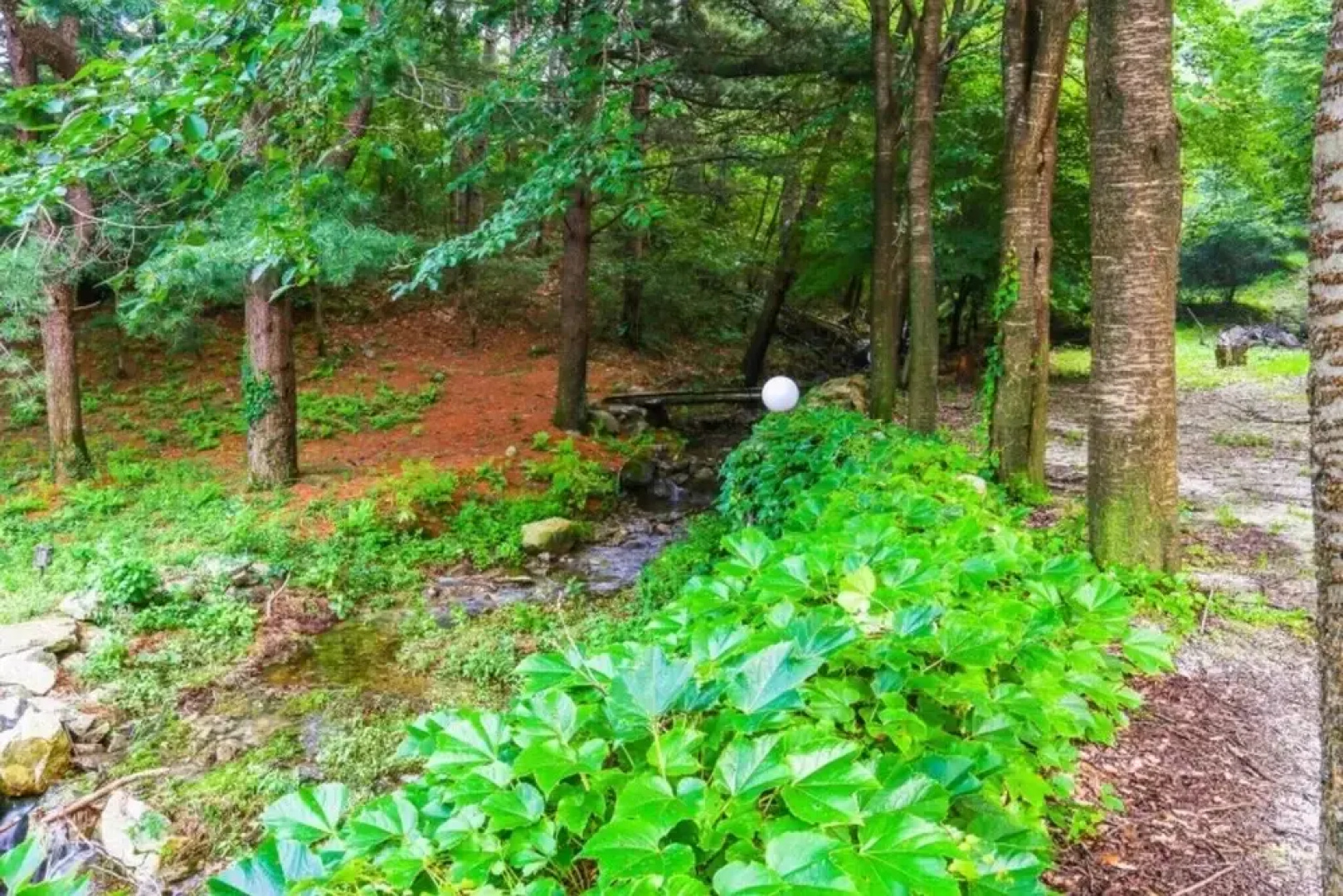 Yangpyeong Log Camp Pension
