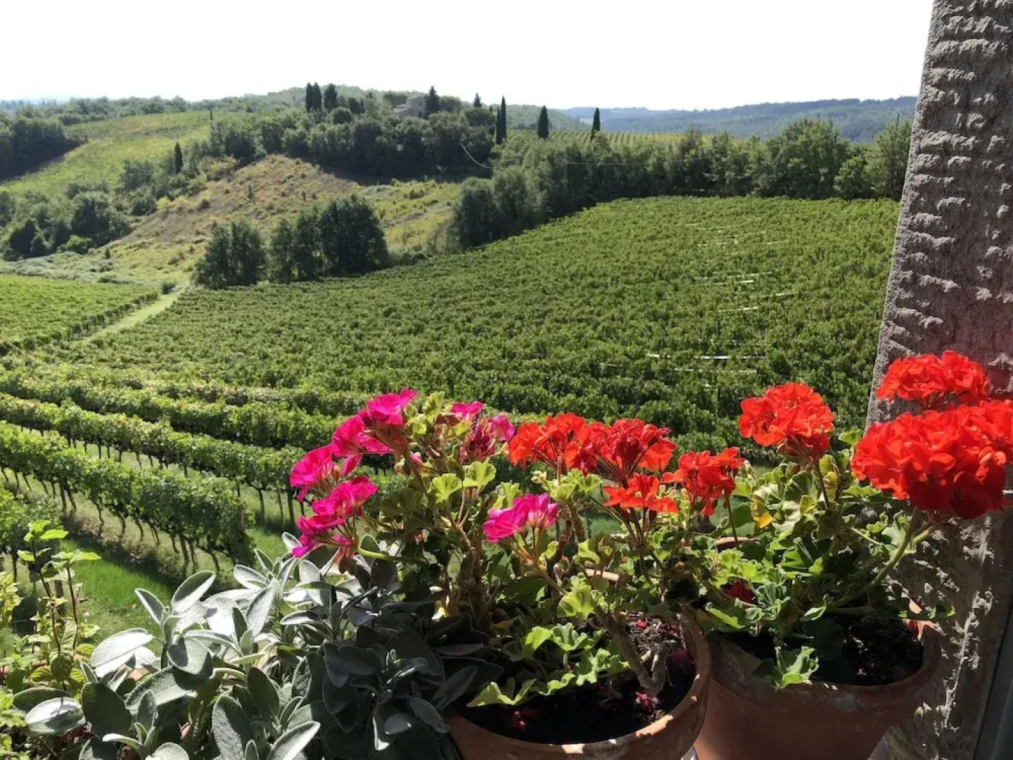 Borgo Argenina