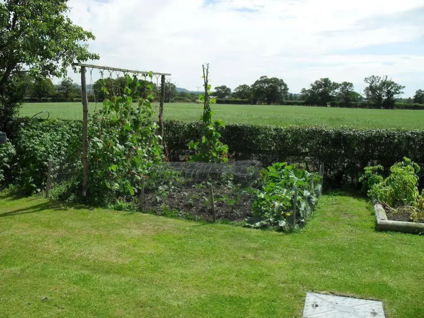 Fernlea Cottage B&B