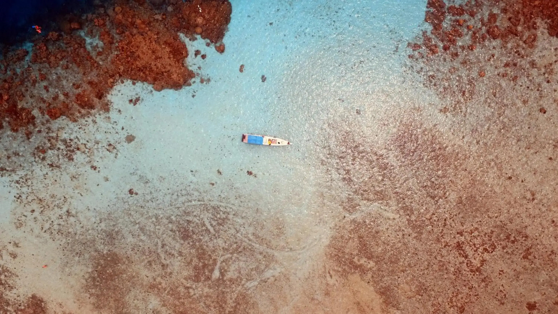 Ayu Hotel Karimunjawa