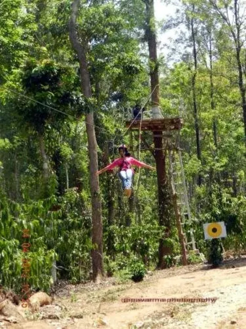 Pugmarks Jungle Resort