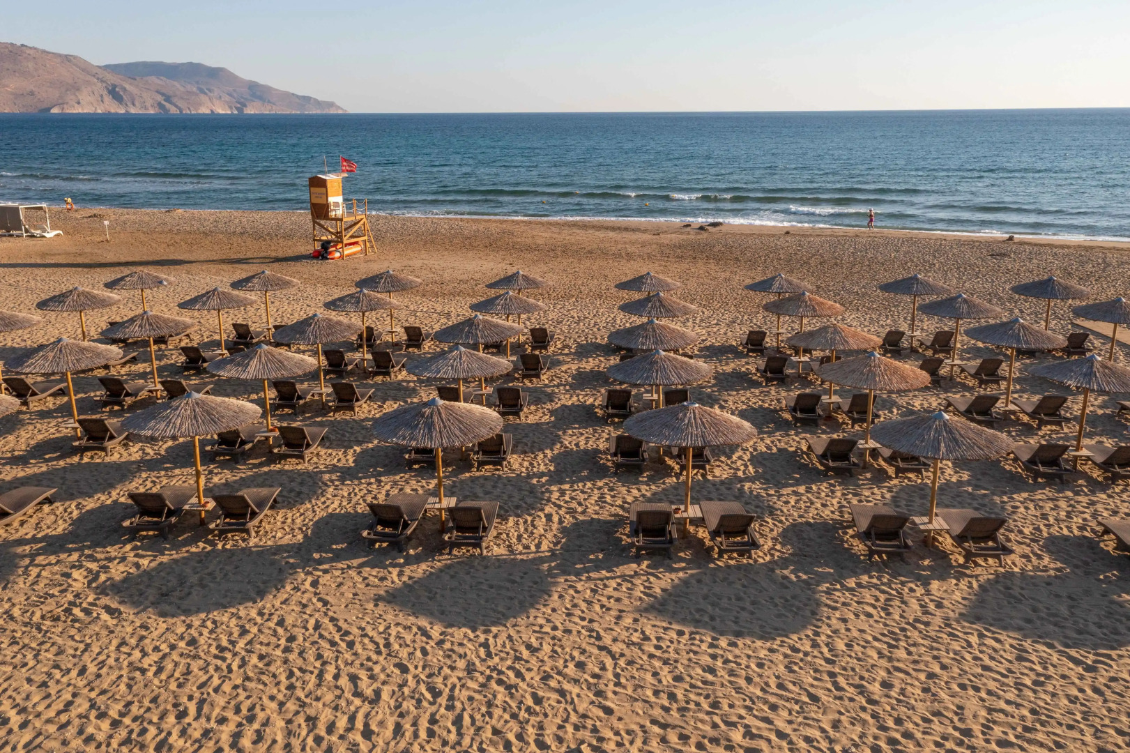 Delfina Tropic Beach