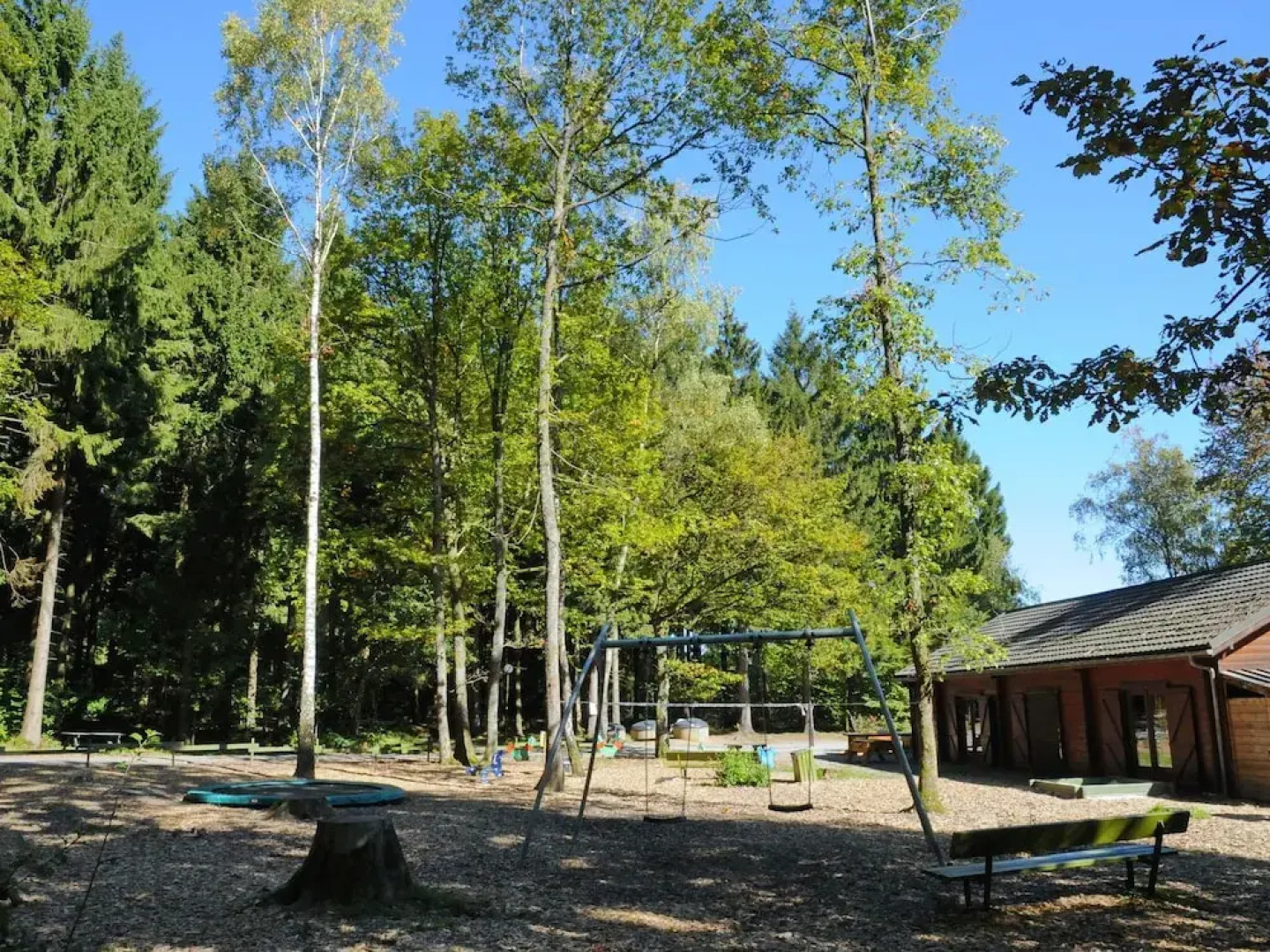 Wooden Chalet With Stove and Microwave Located in the Forest