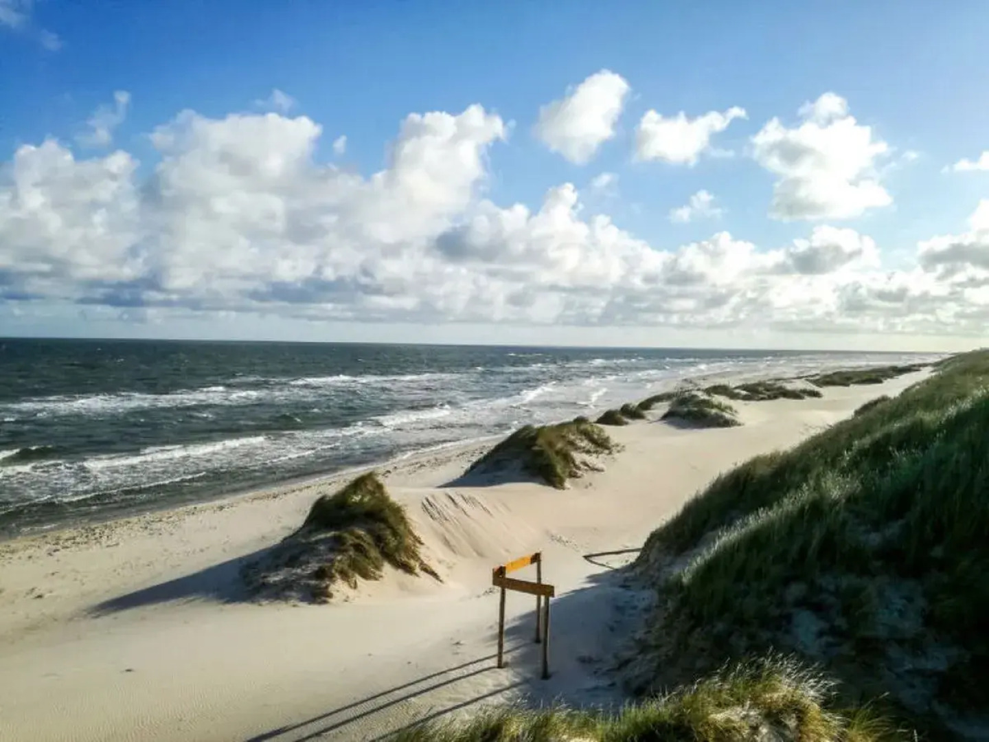 "MODRZEWIOWY ZAKąTEK"