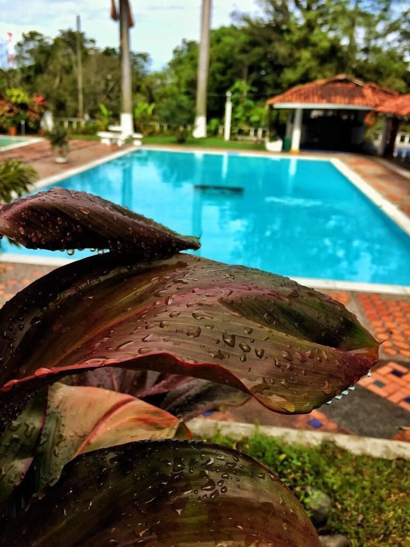 Hotel Pueblito Cafetero