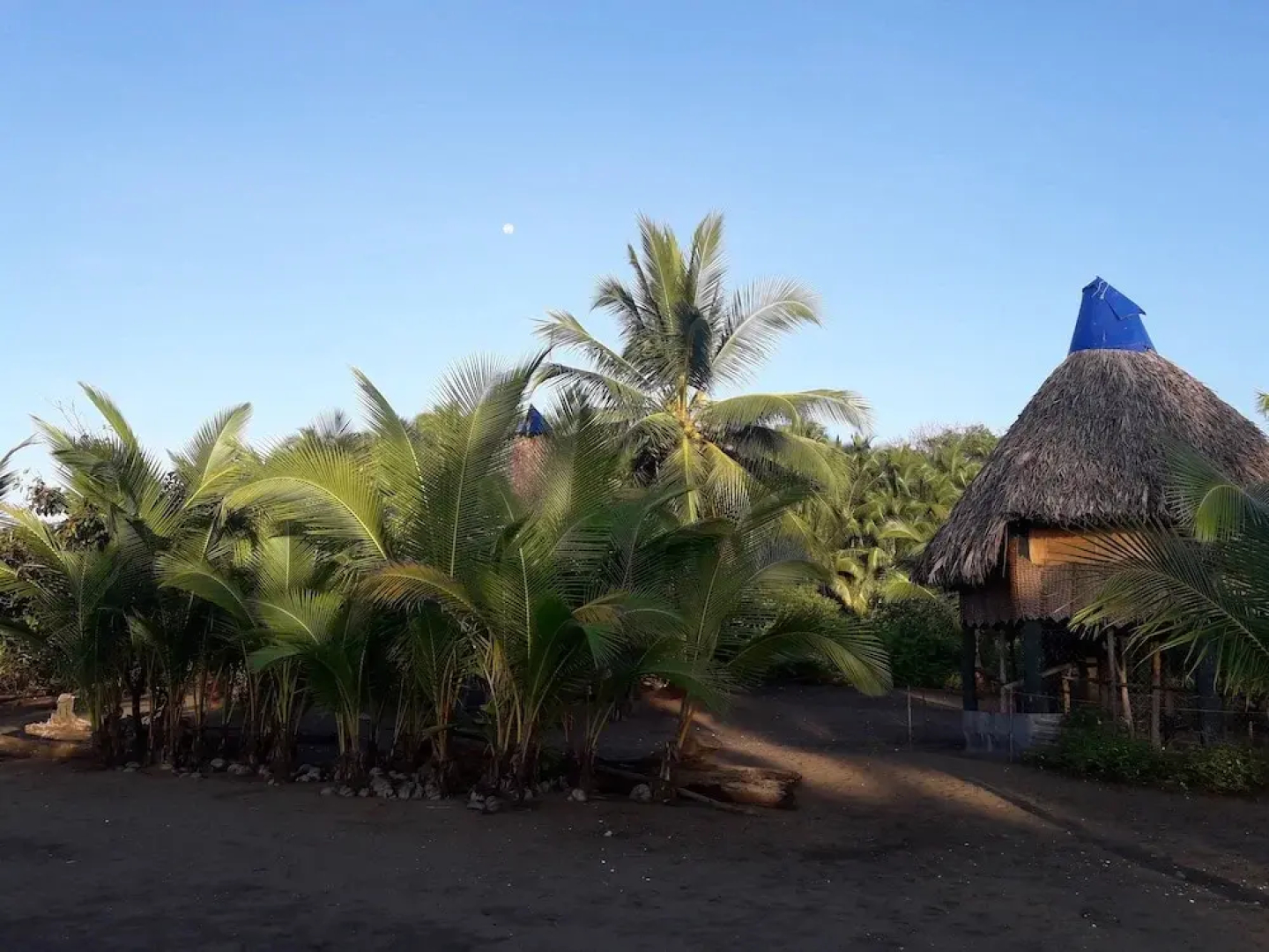 Hostal Pachamama