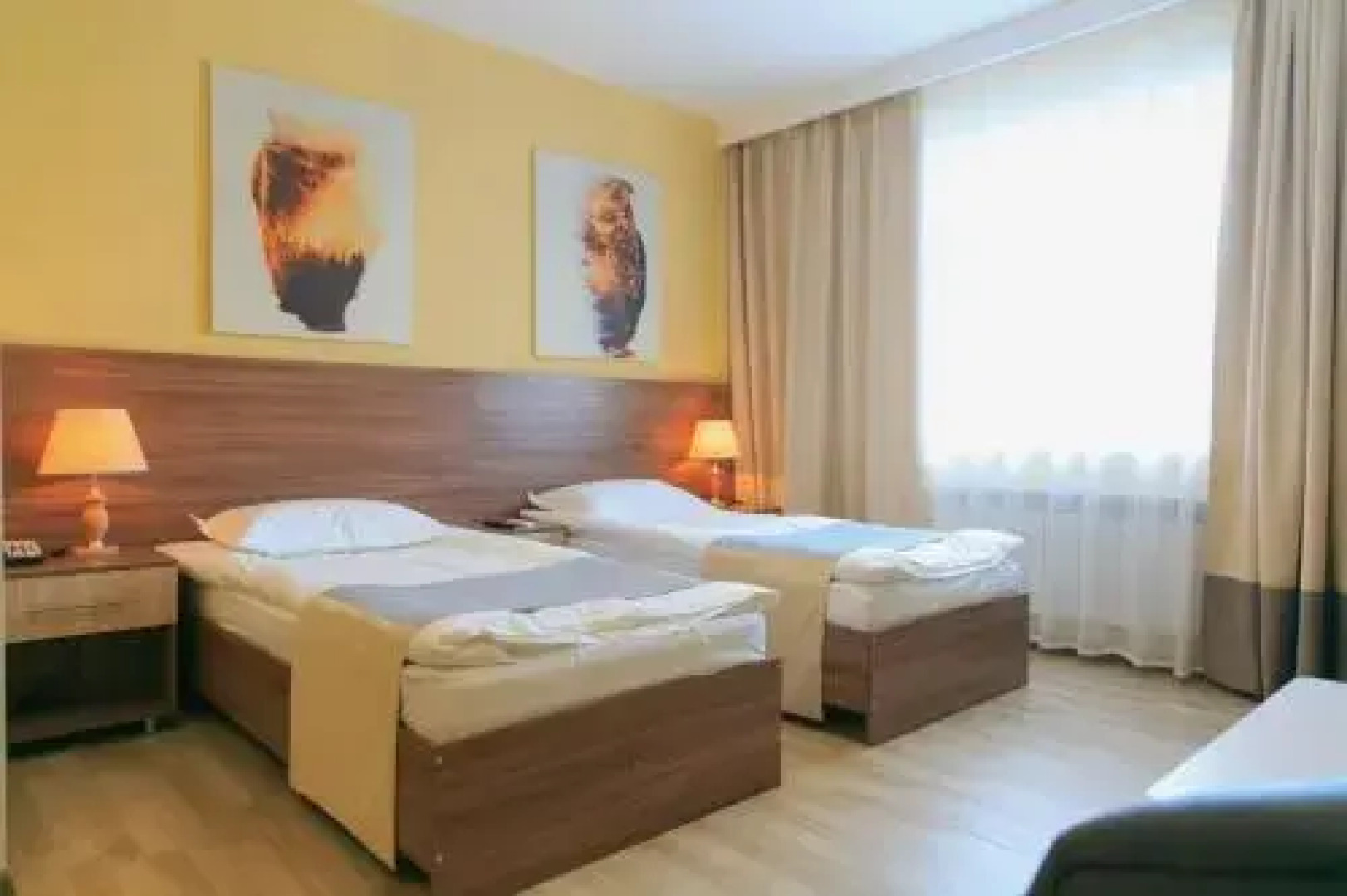 Green Which Tourist Borovoye