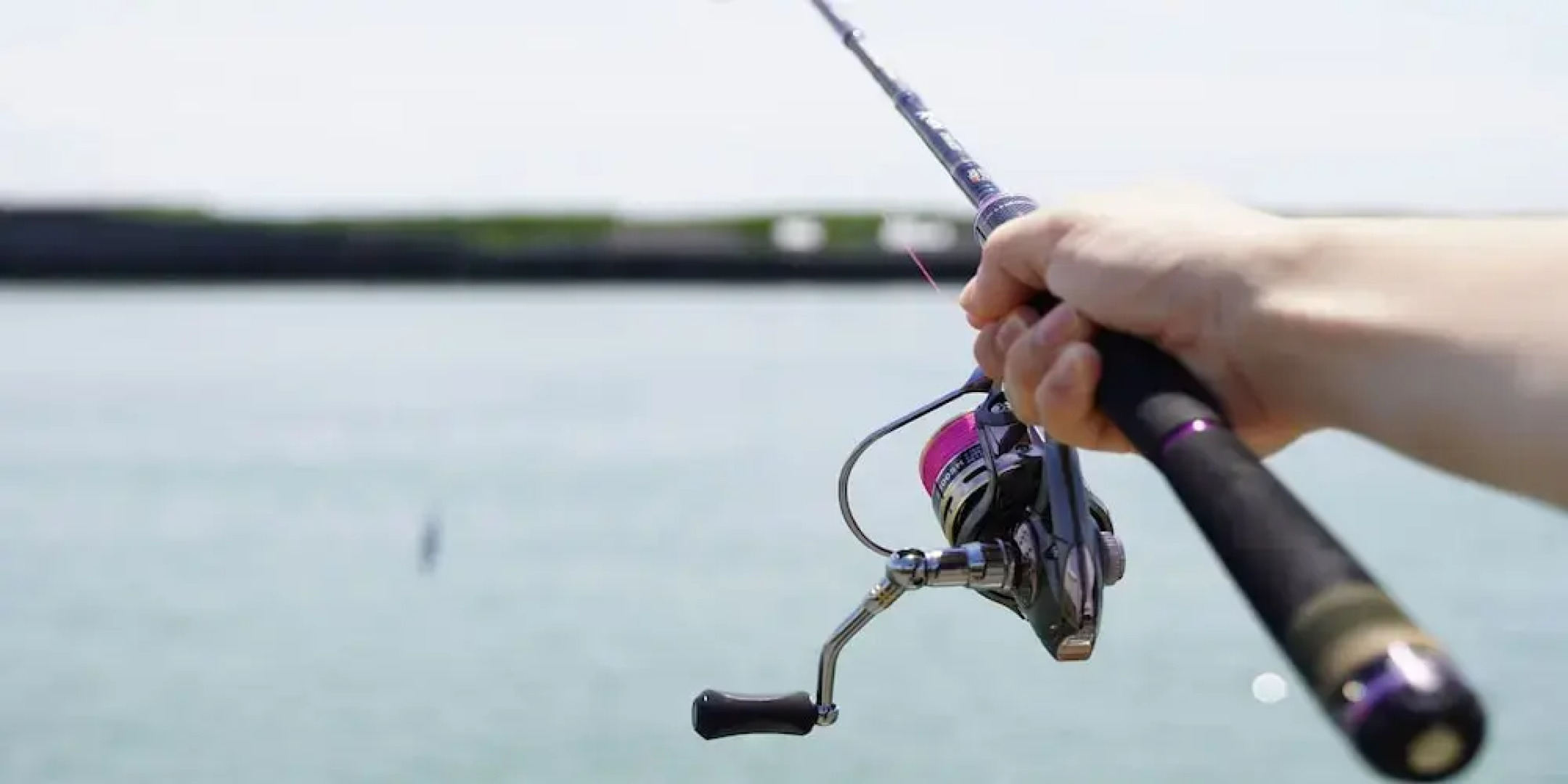 the View miurashiharumicho