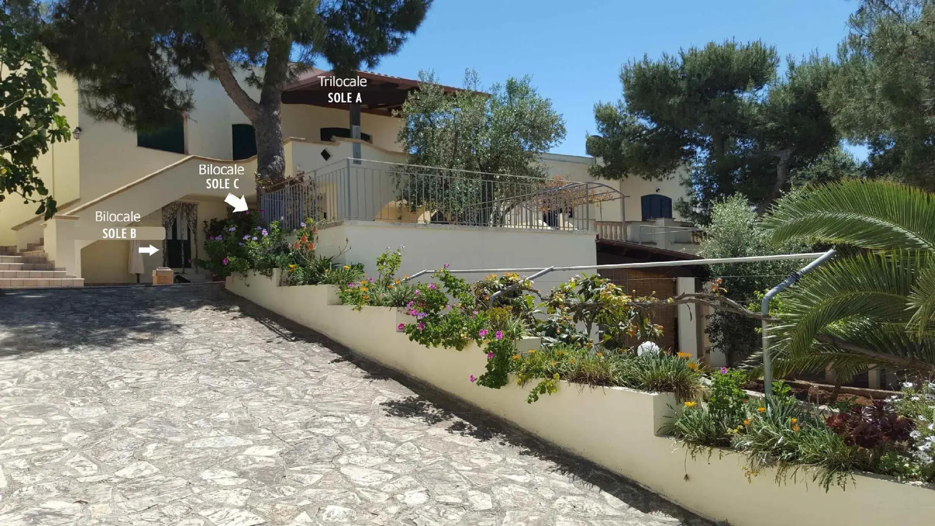 A Ovest Bilo sul Mare