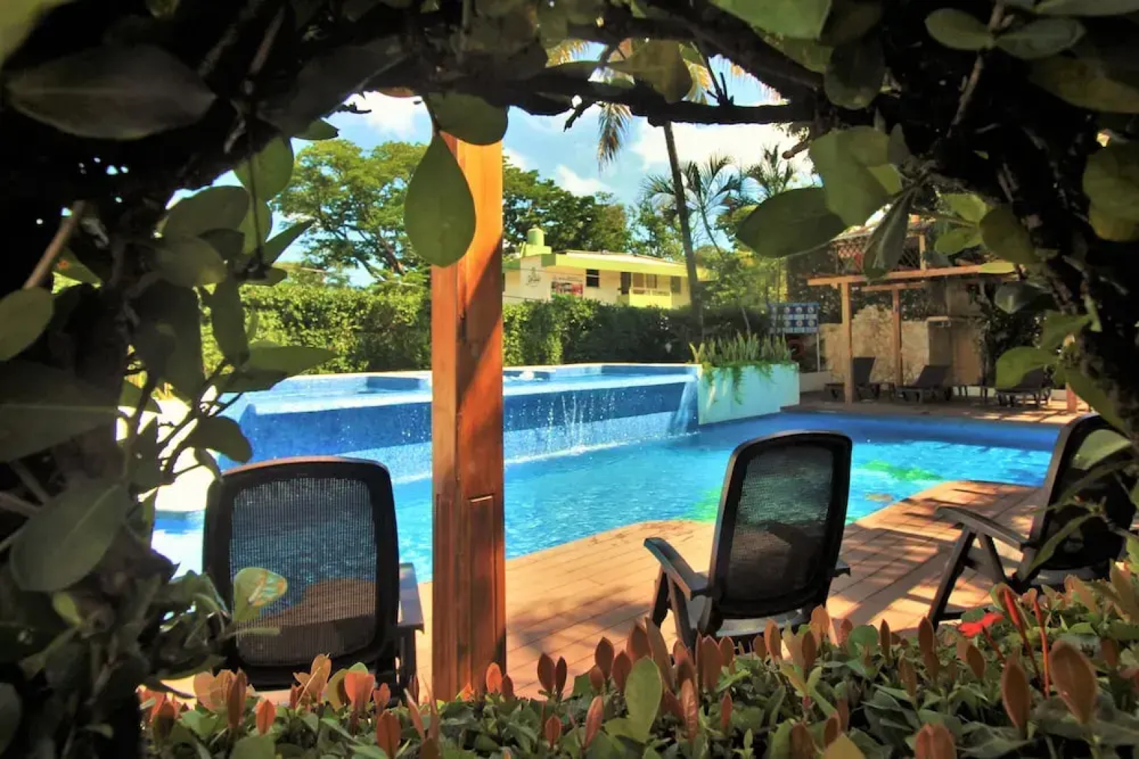 Maya Tulipanes Express