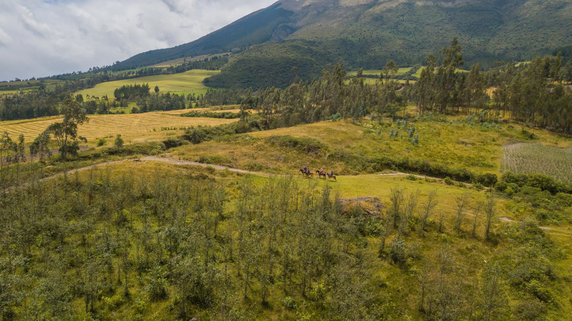 Hosteria Hacienda Pinsaqui