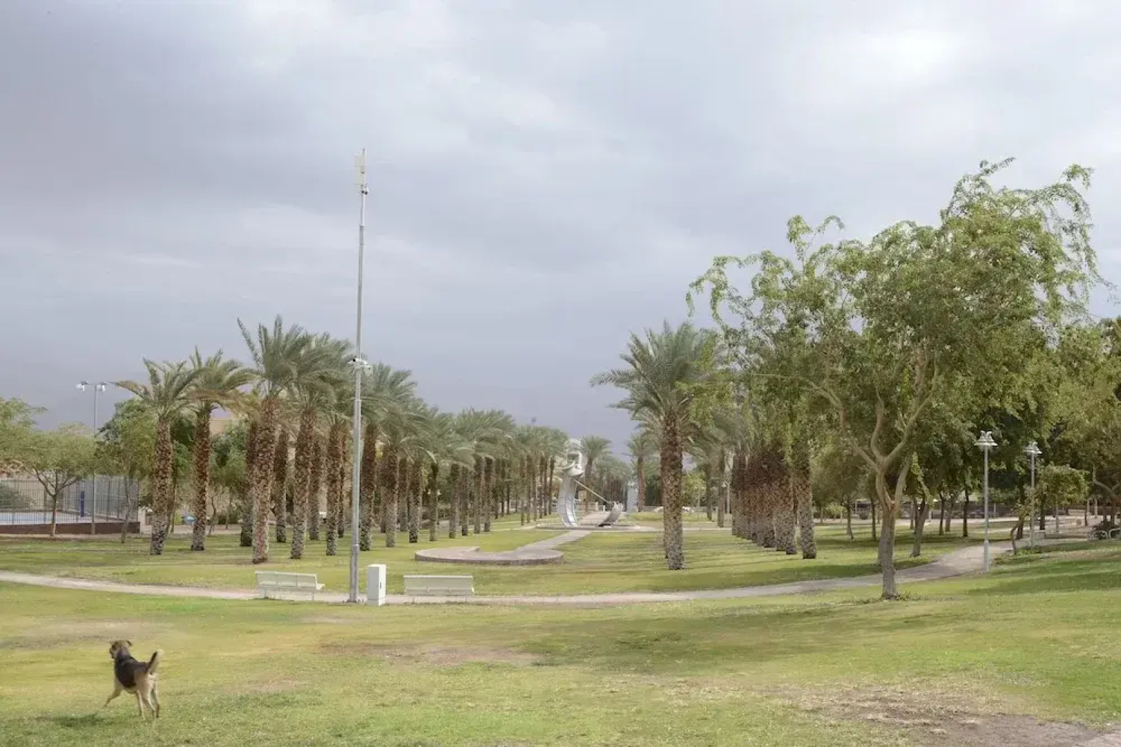 Zimmer-Eilat