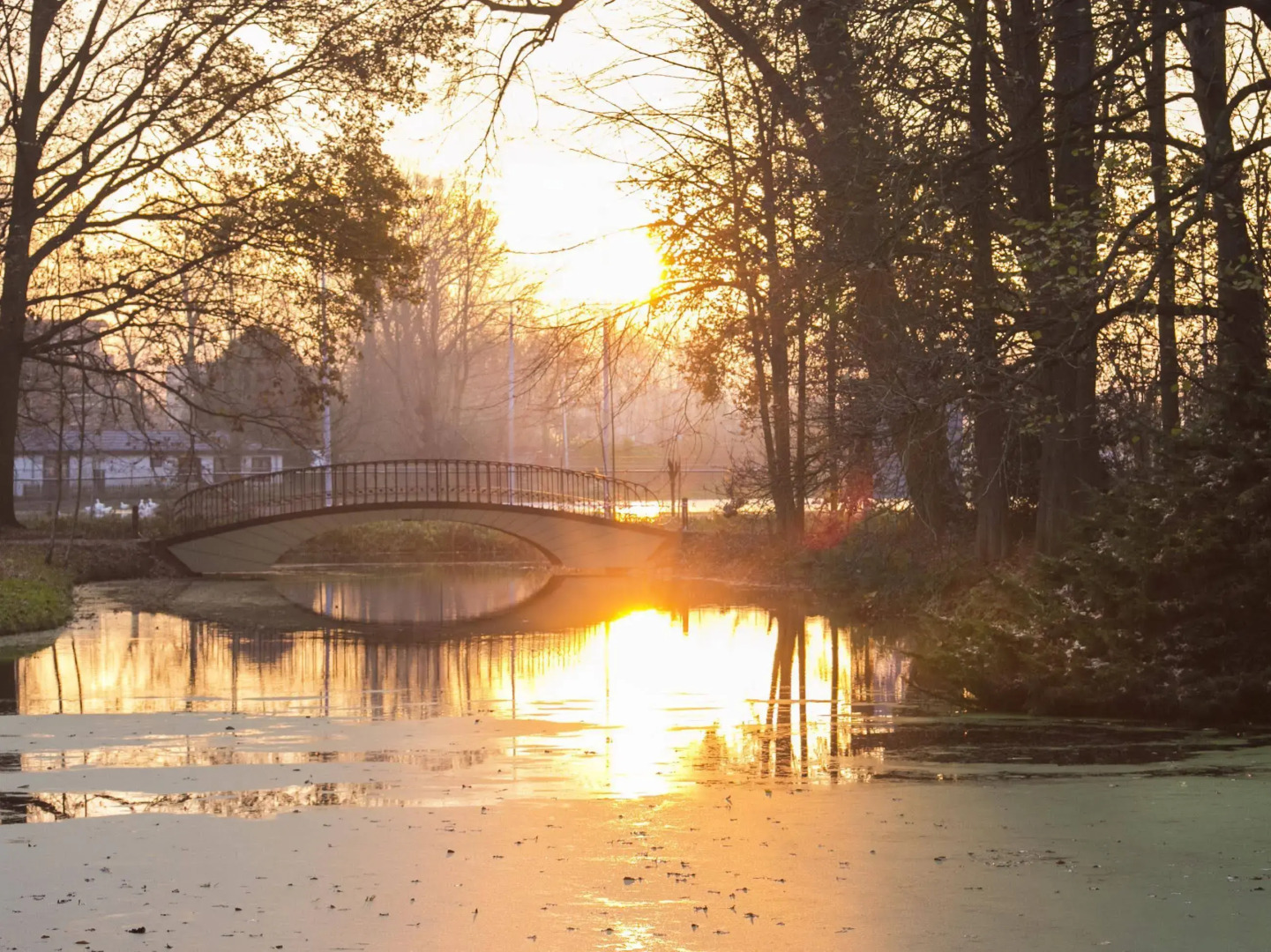 Landgoed Kasteel Oud-Poelgeest