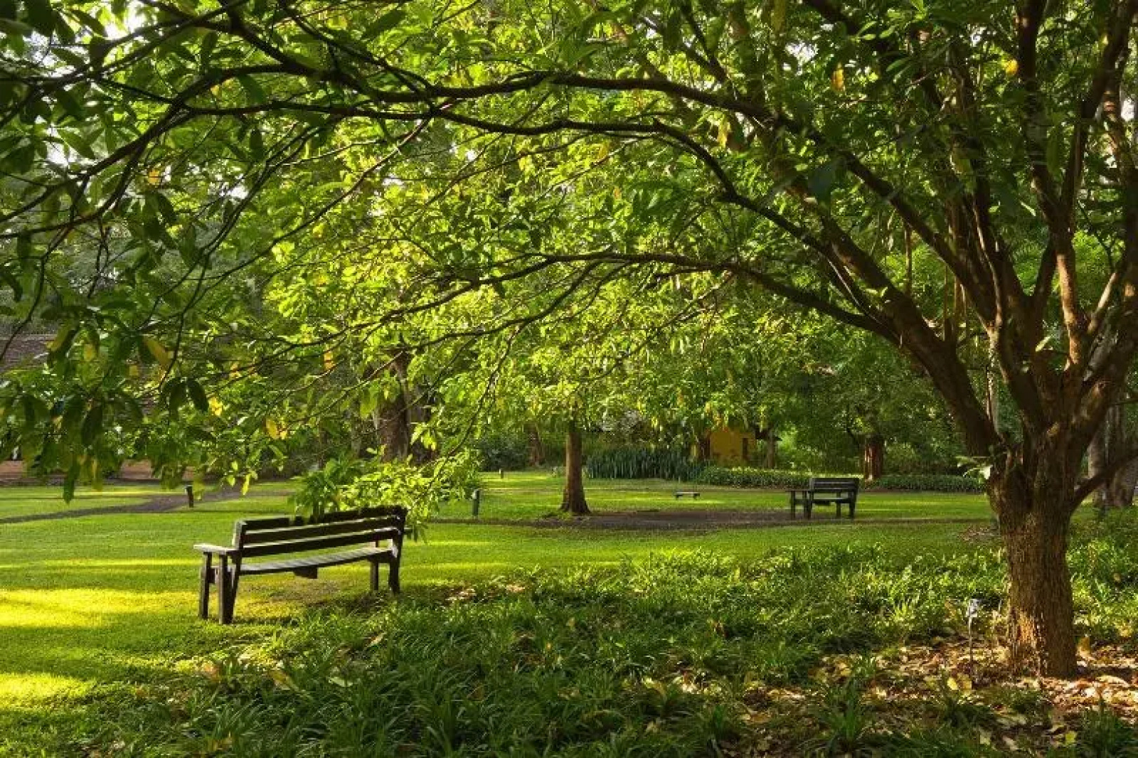 Rivertrees Country Inn