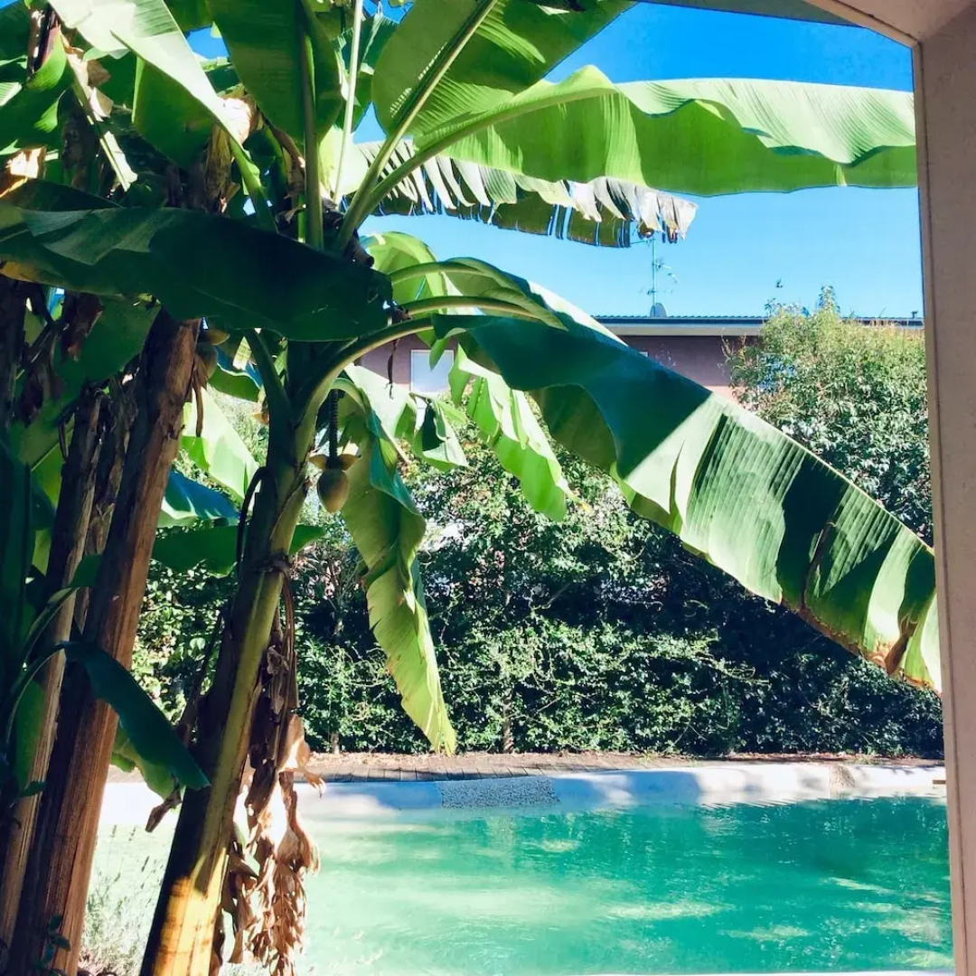 Luxury Apartments Villa Mary
