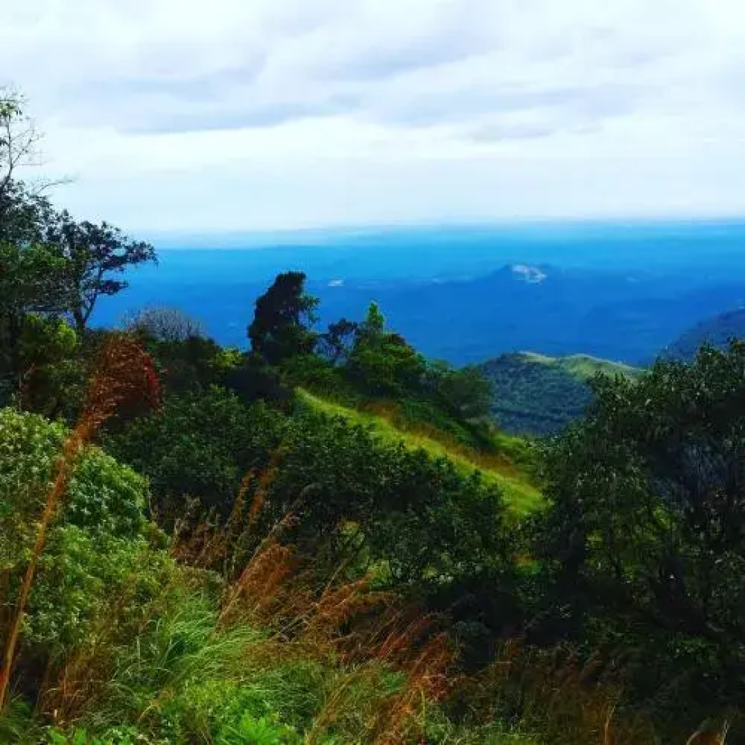 Paithal Mount Cottage