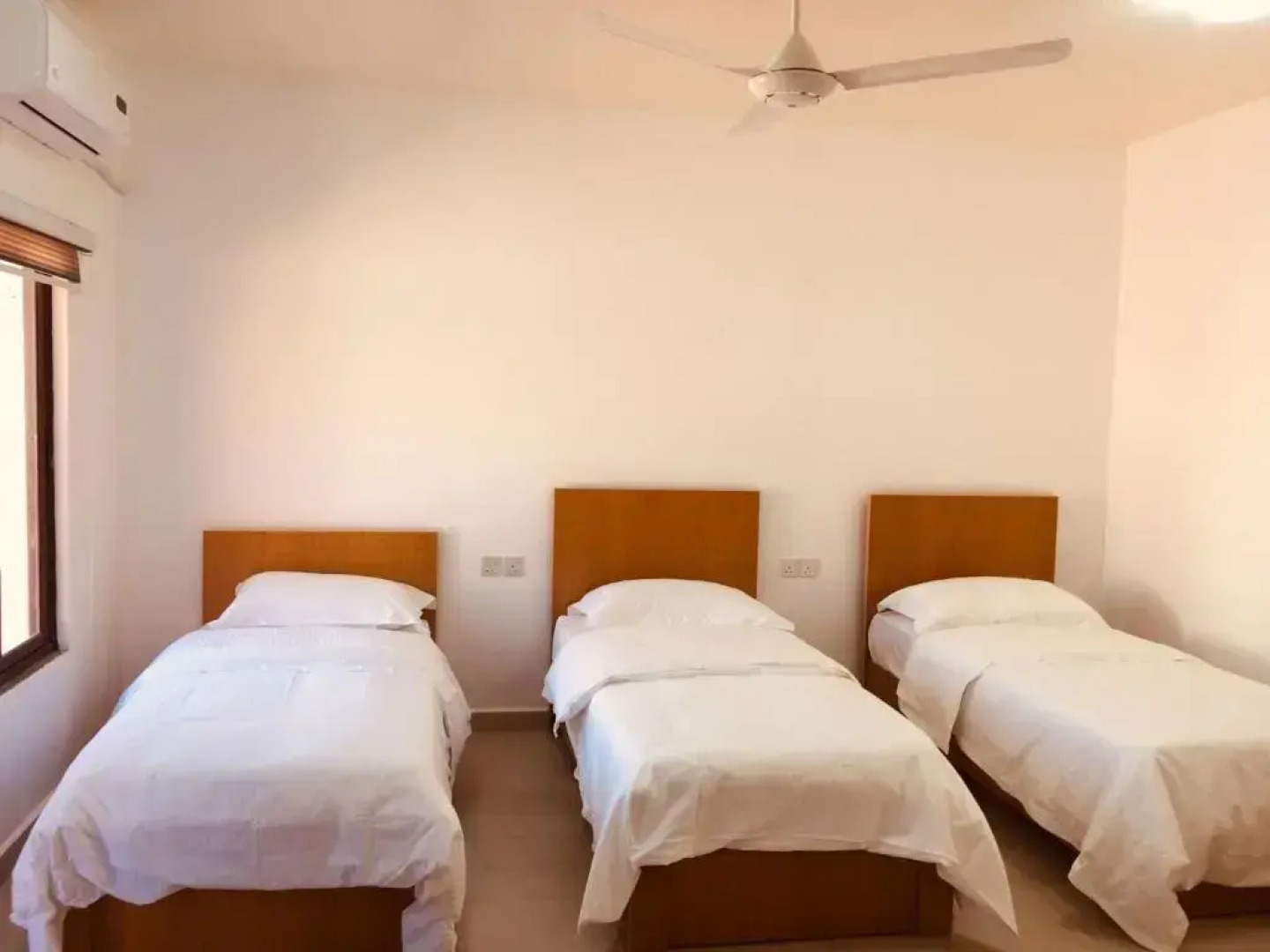 Wadi Rum Stars Hostel