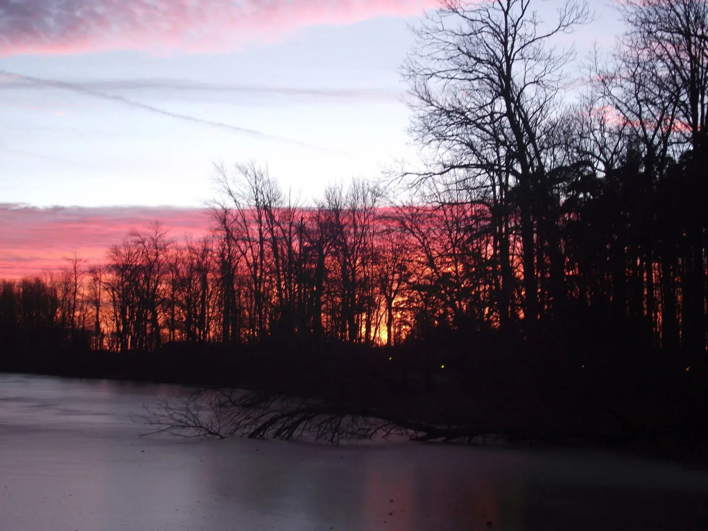 Forest Motel & Woodland Retreat