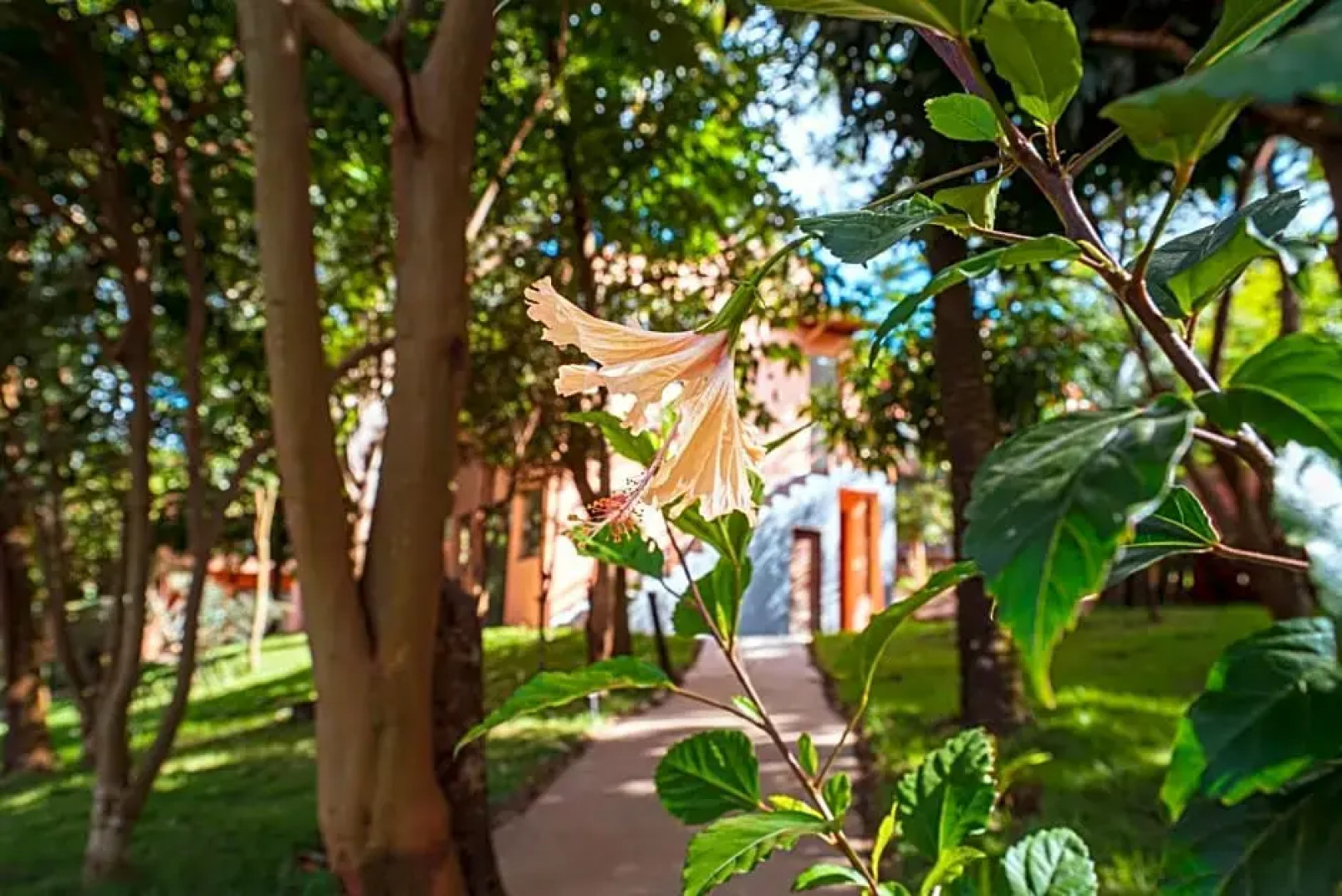 Pousada Mandala do Vale