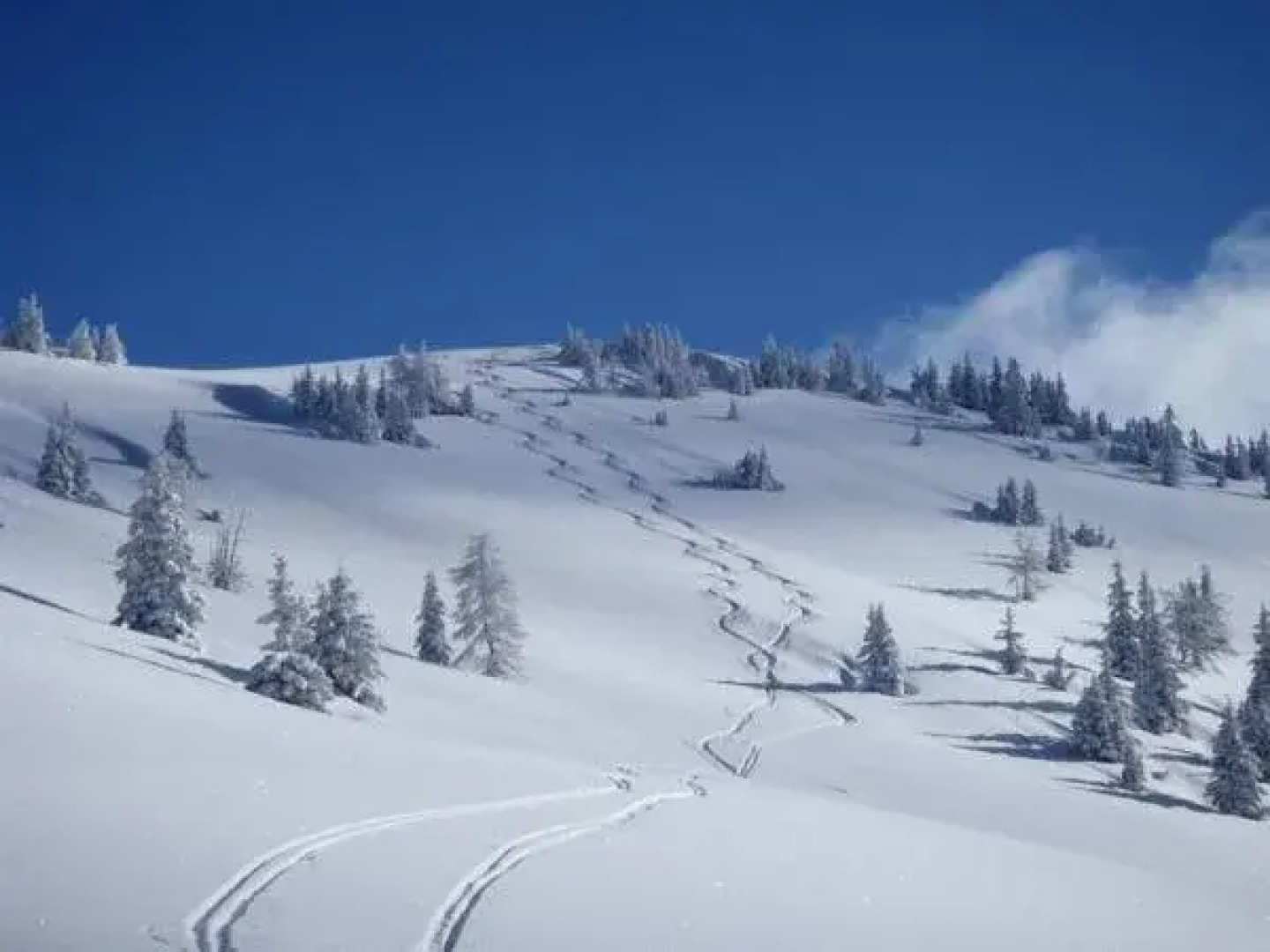 Haus Agnes Schwarzenbacher