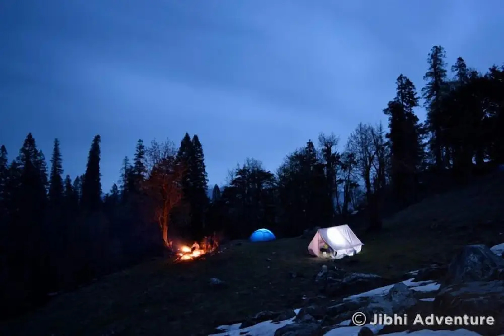 Wilderness Home Jibhi