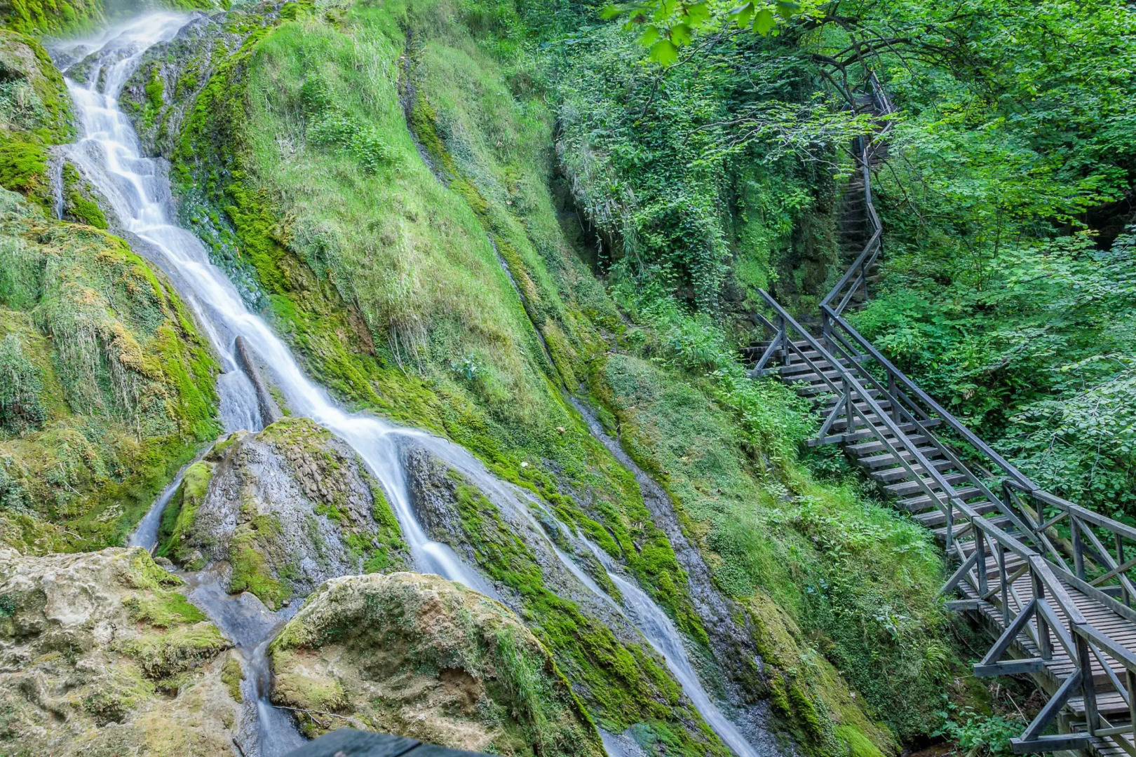 Rural Homestead Trenkovo